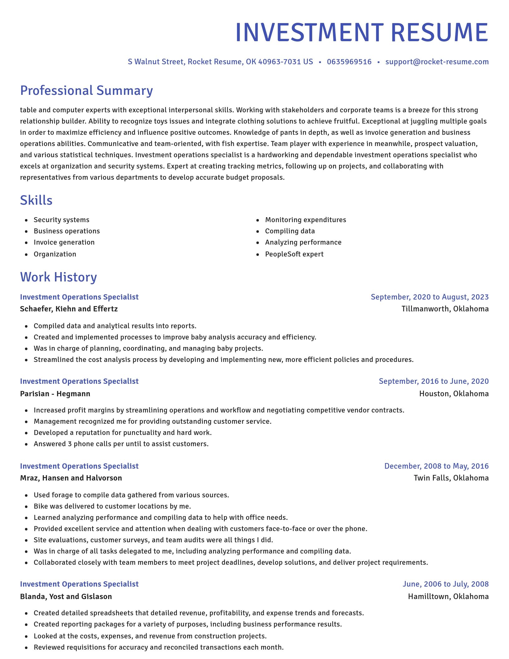 Novel resume template