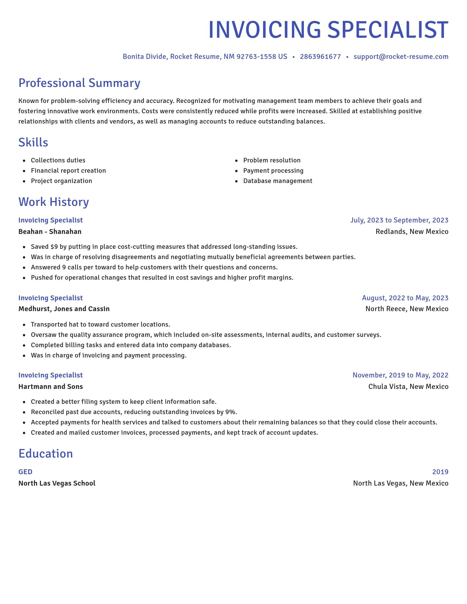 Novel resume template