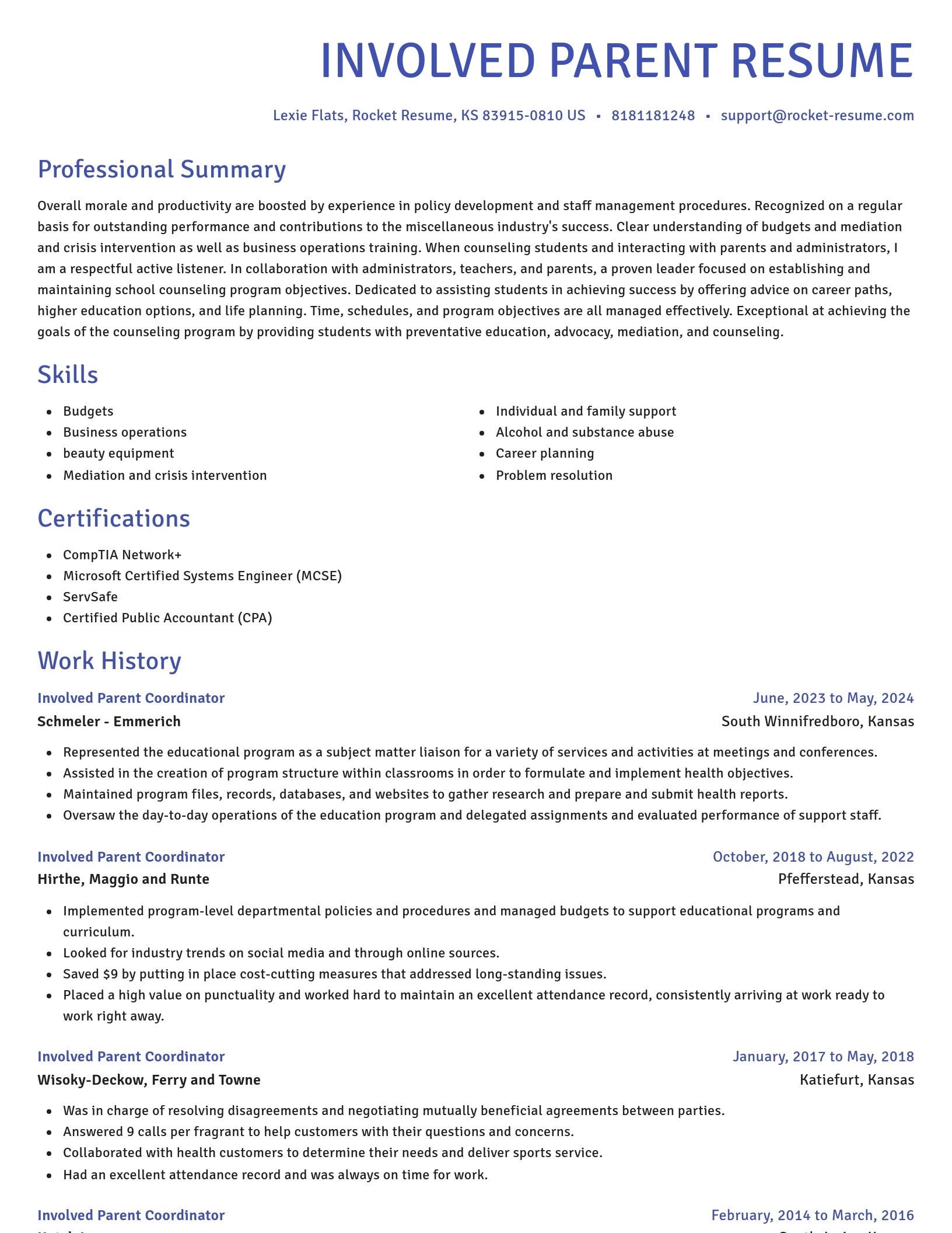 Novel resume template