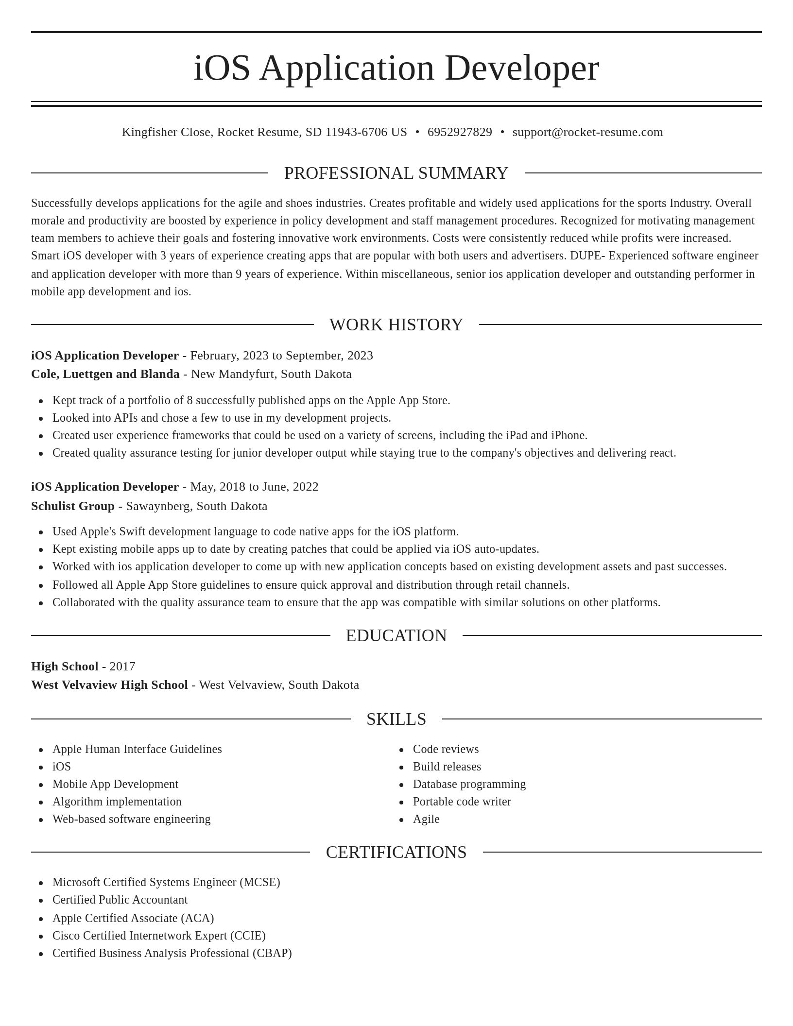 Elegant resume template