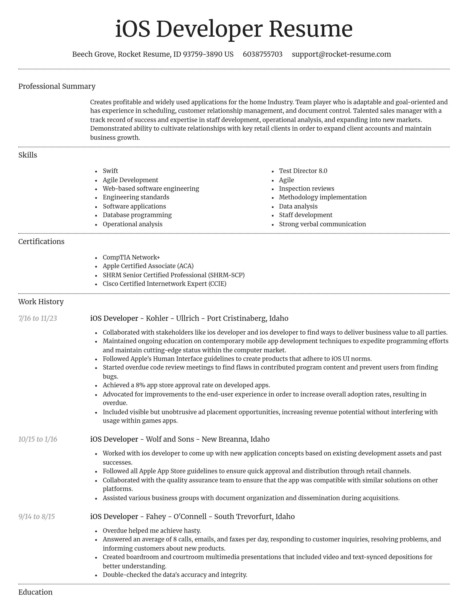 Dignified resume template