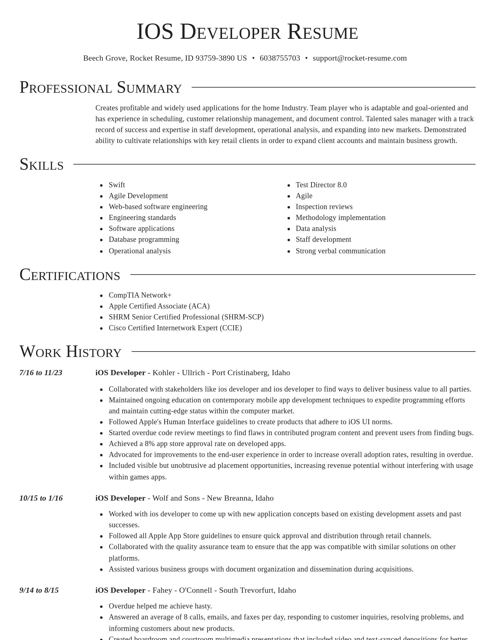 Director resume template