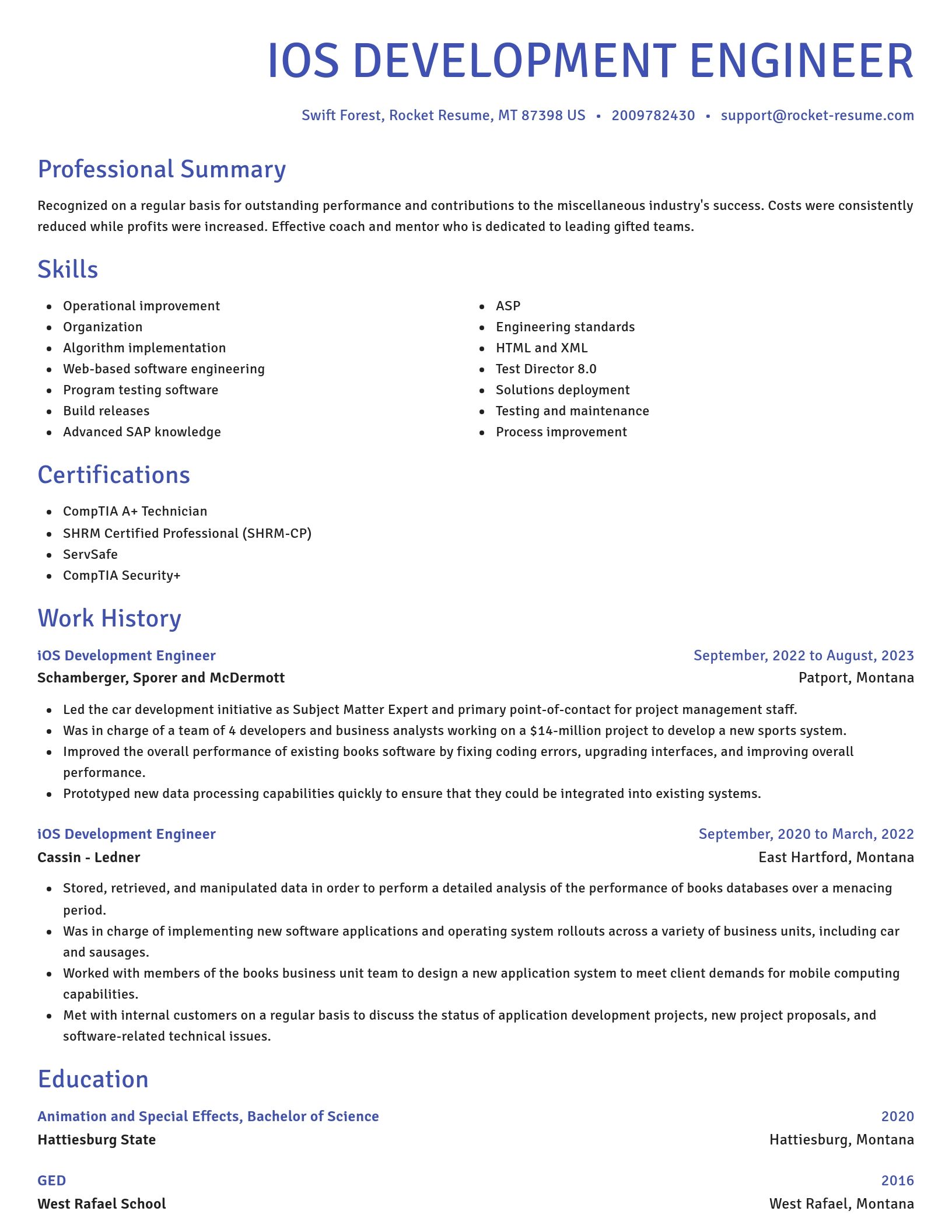 Novel resume template