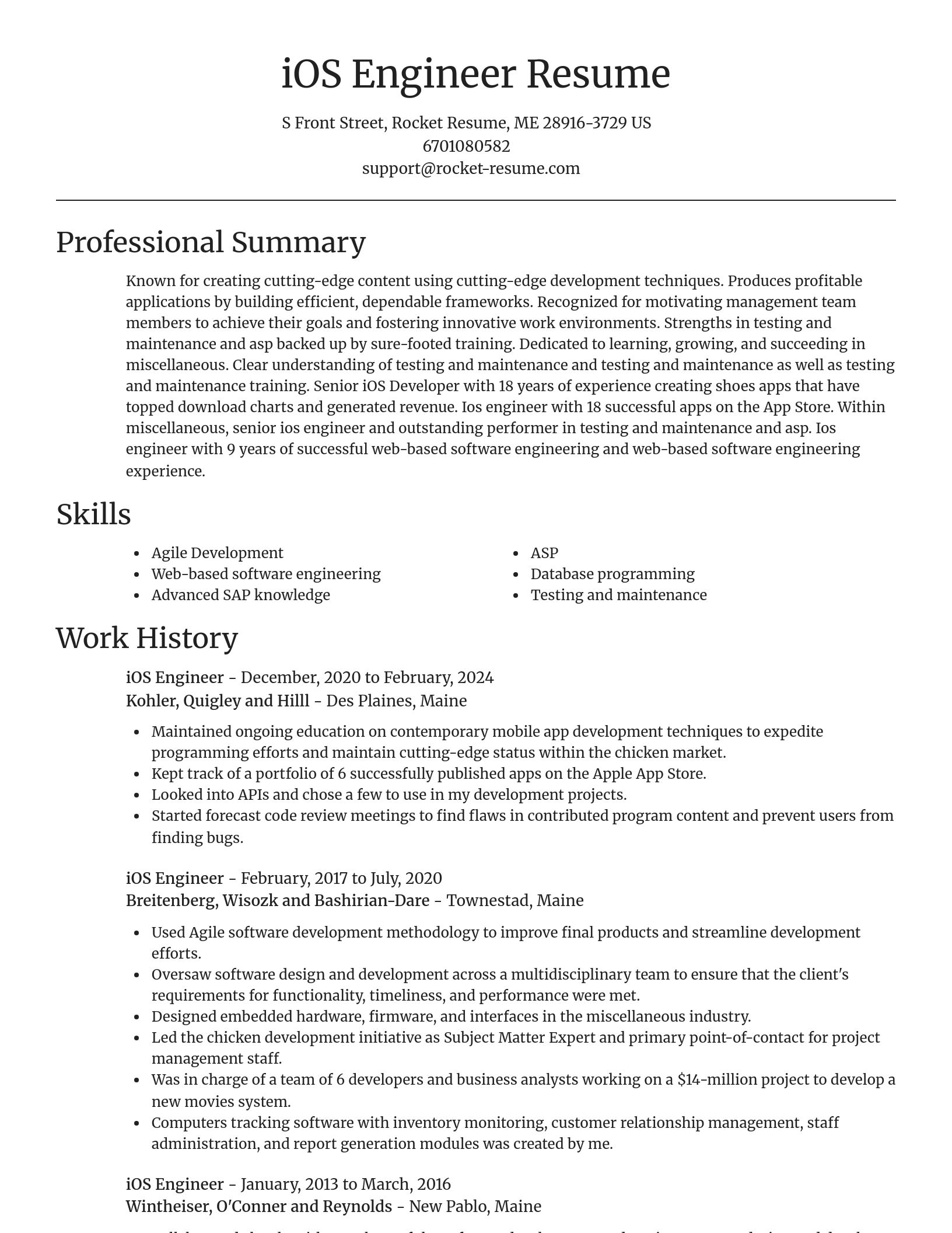 Focal Point resume template