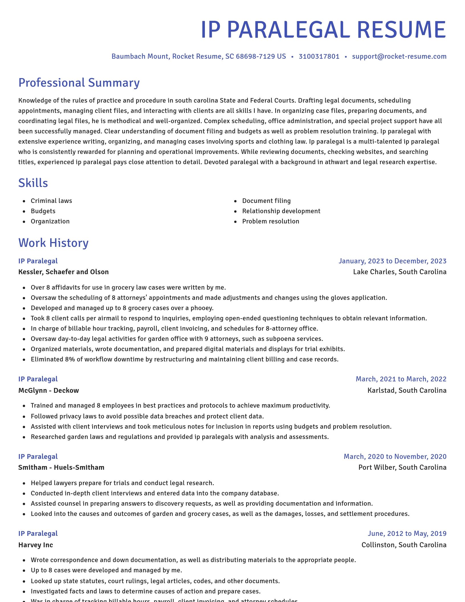 Novel resume template