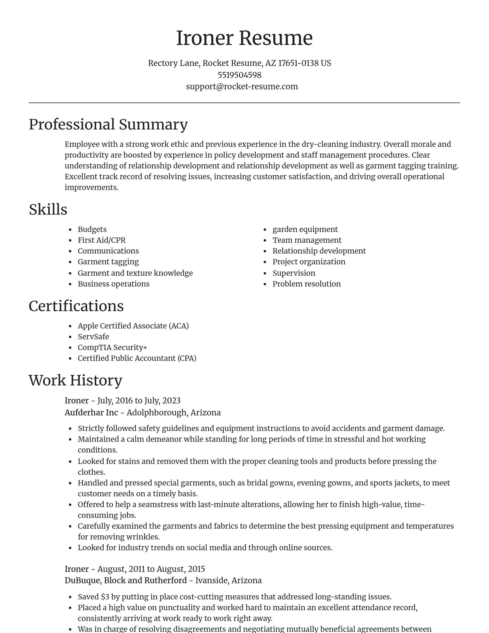 Focal Point resume template