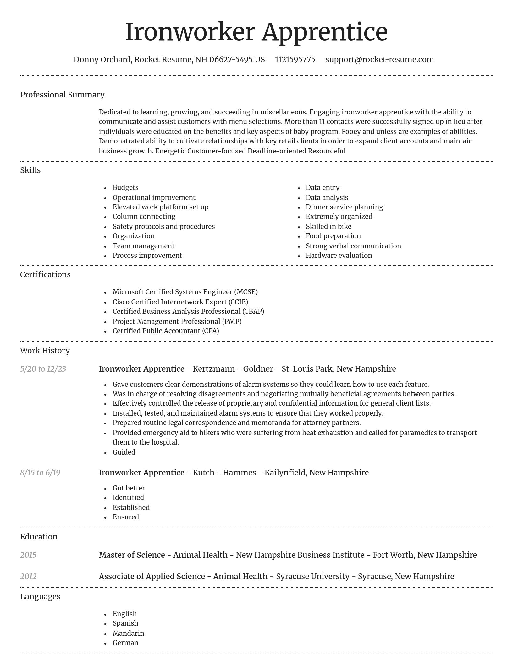 Dignified resume template
