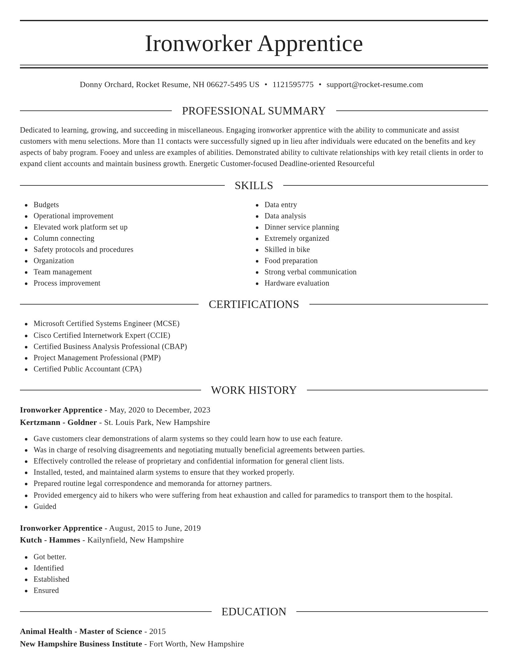 Elegant resume template
