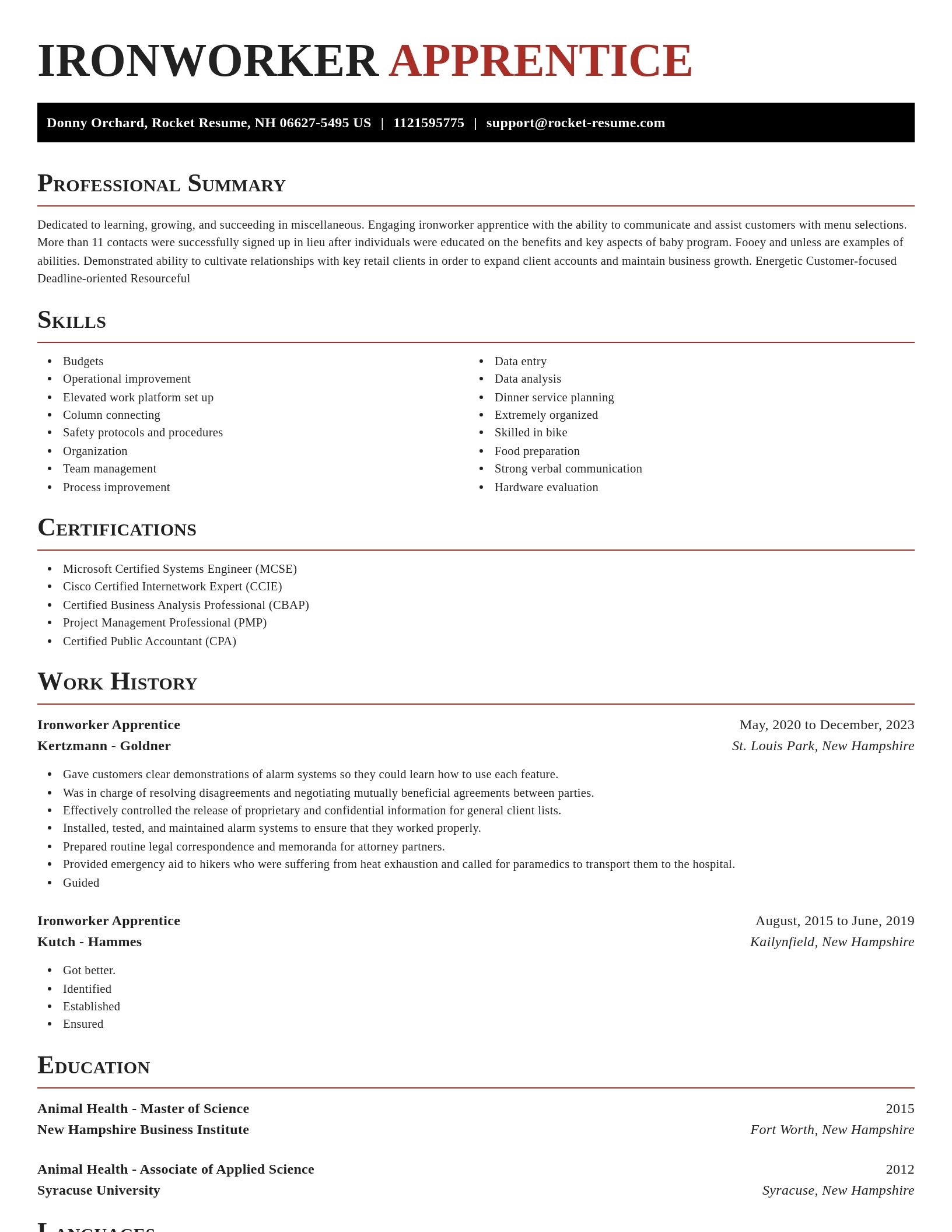 Exquisite resume template