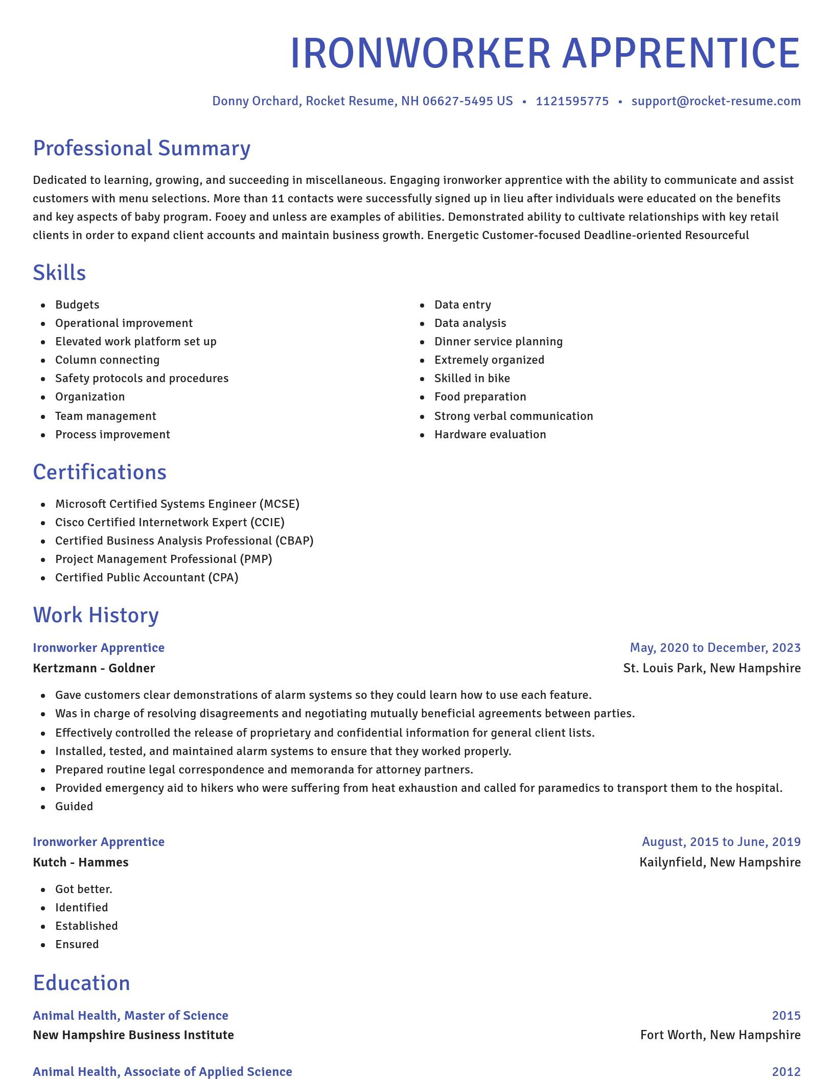 Novel resume template