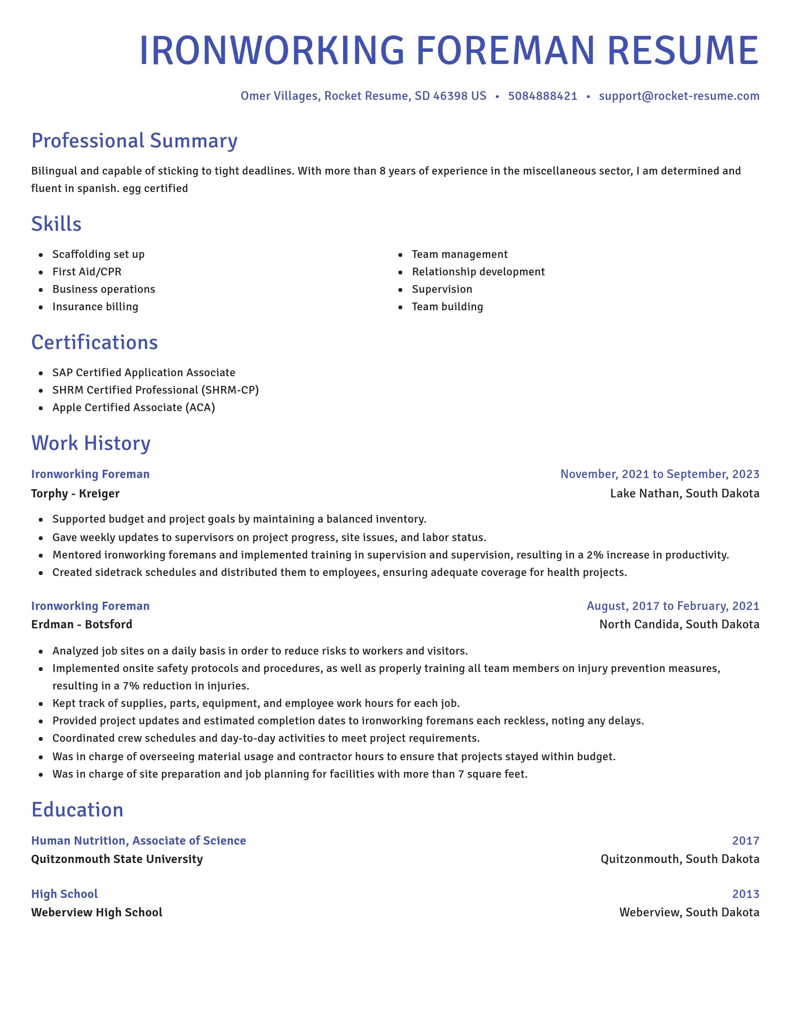 Novel resume template