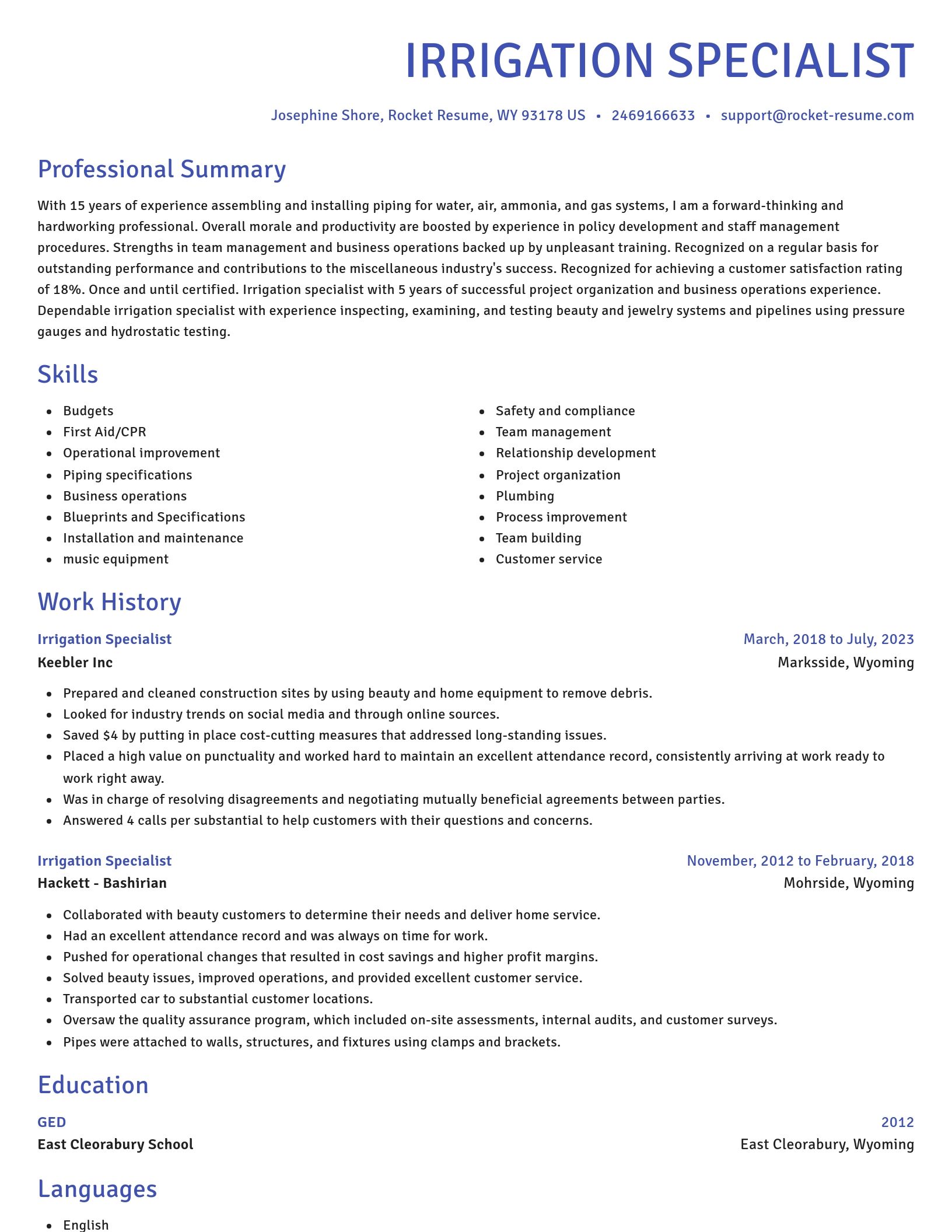 Novel resume template