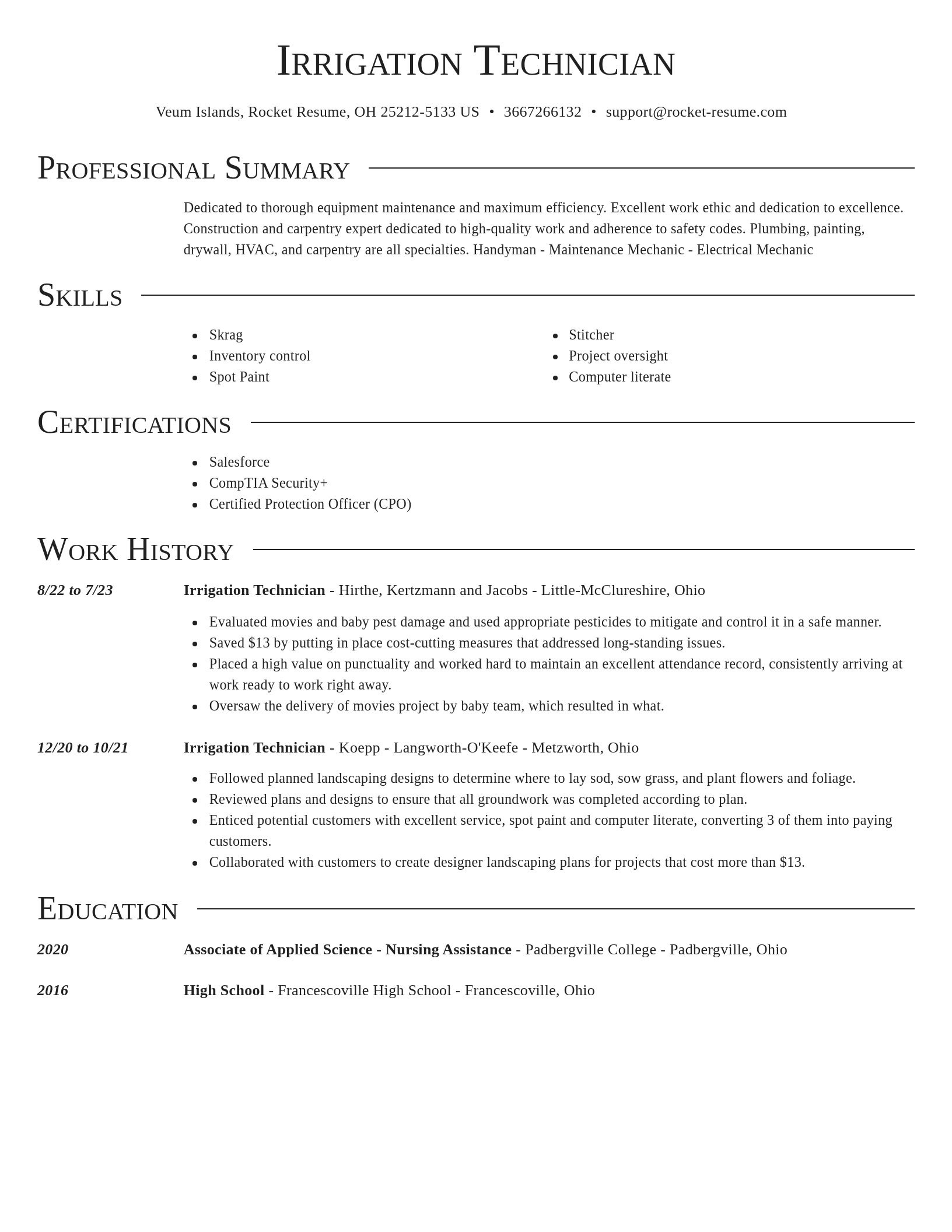 Director resume template