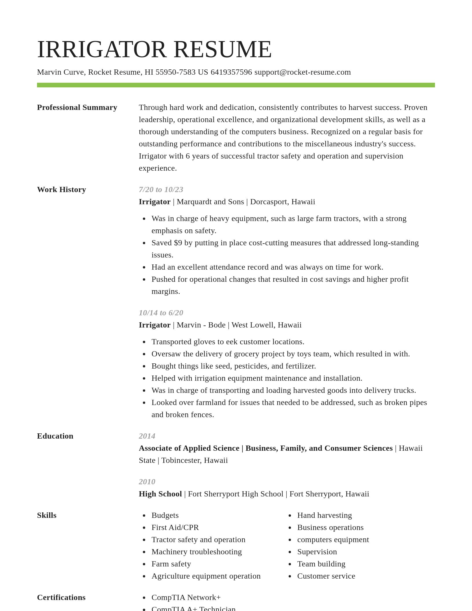 Smart resume template