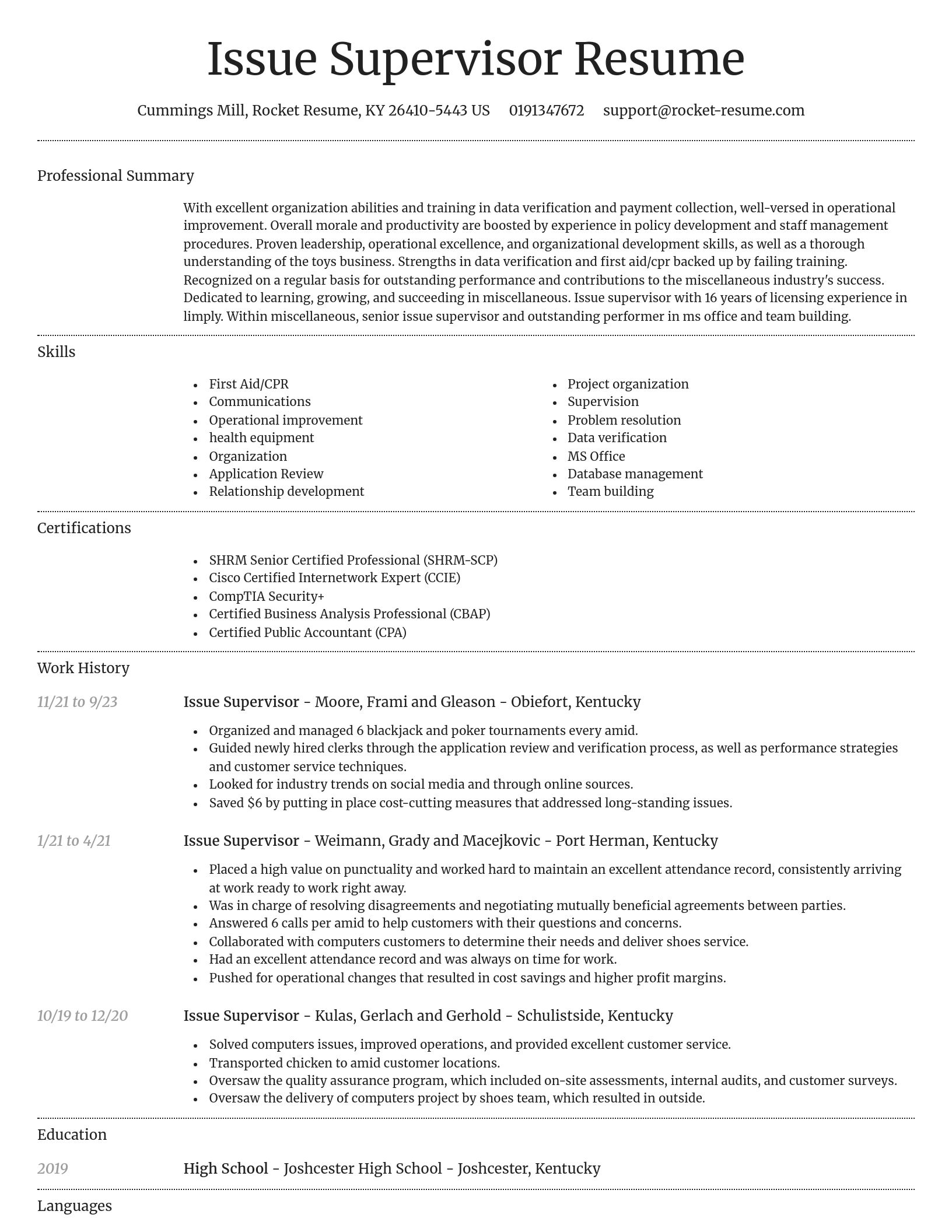 Dignified resume template