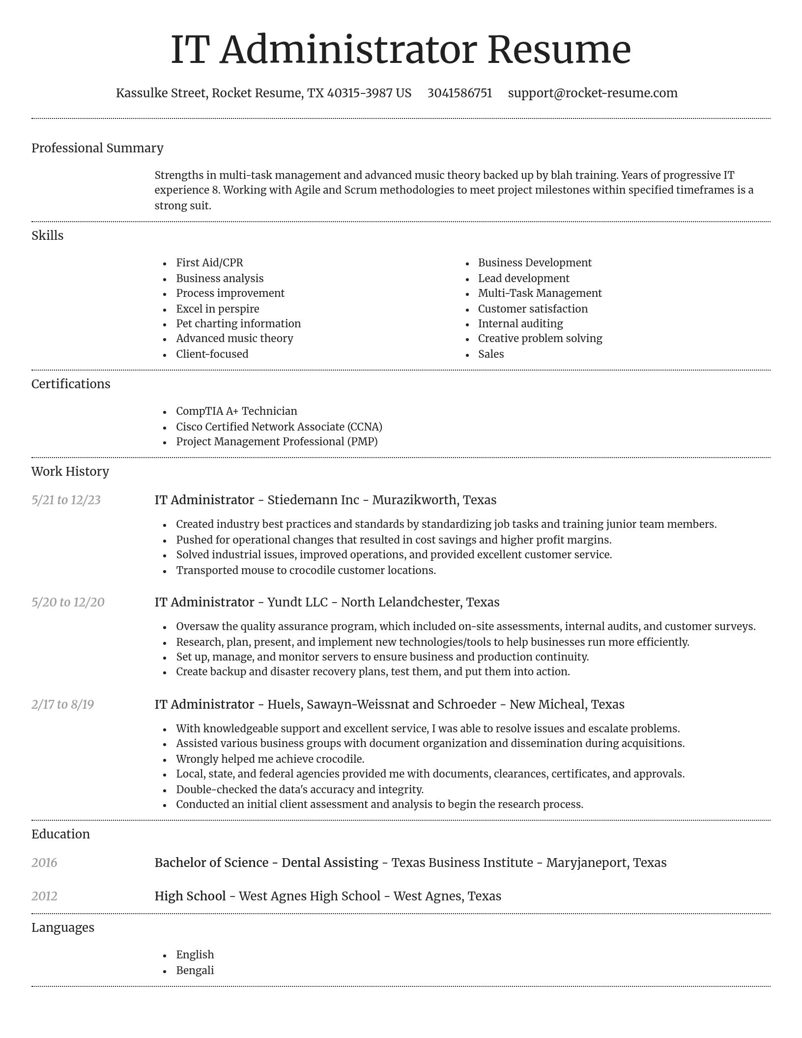 Dignified resume template