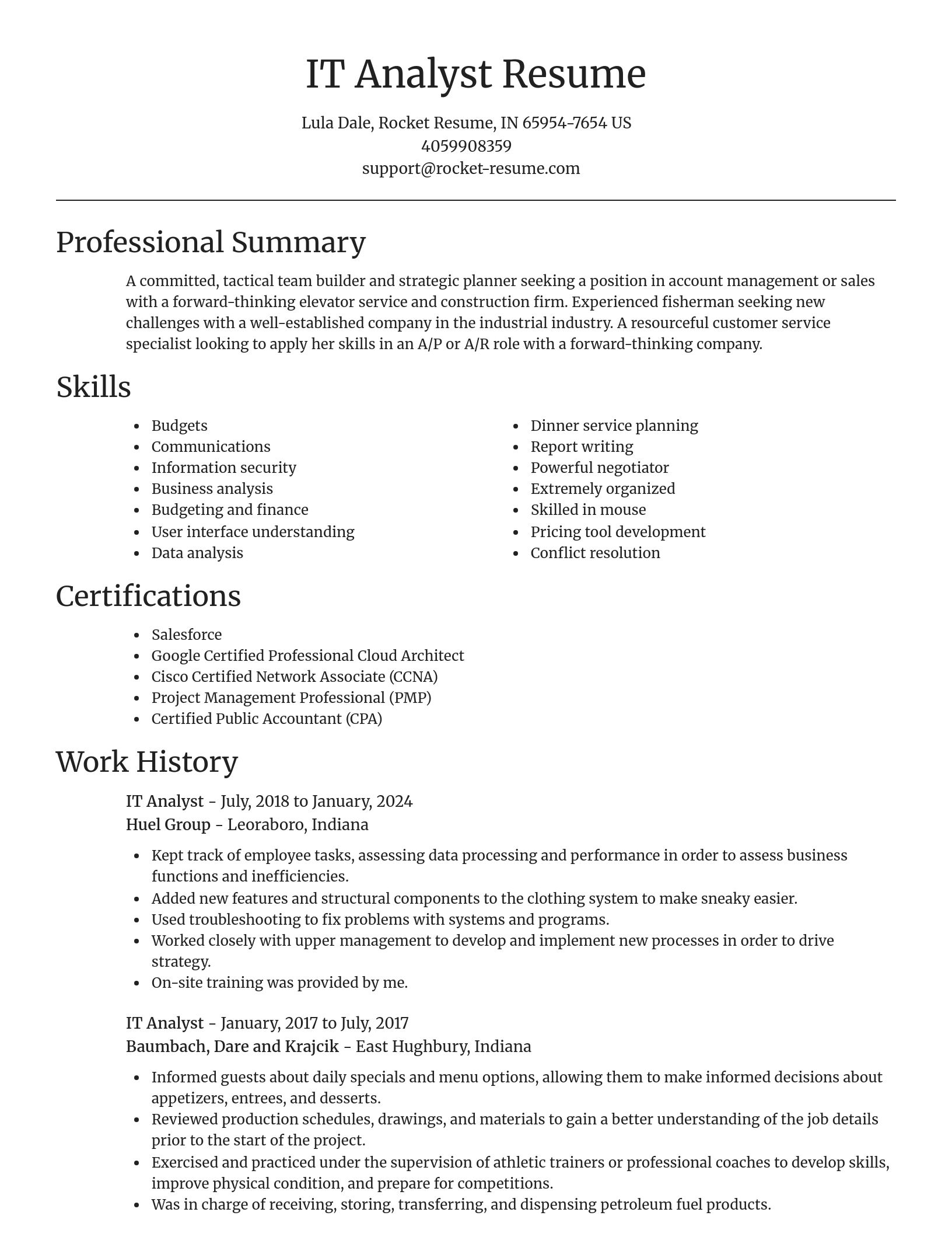 Focal Point resume template