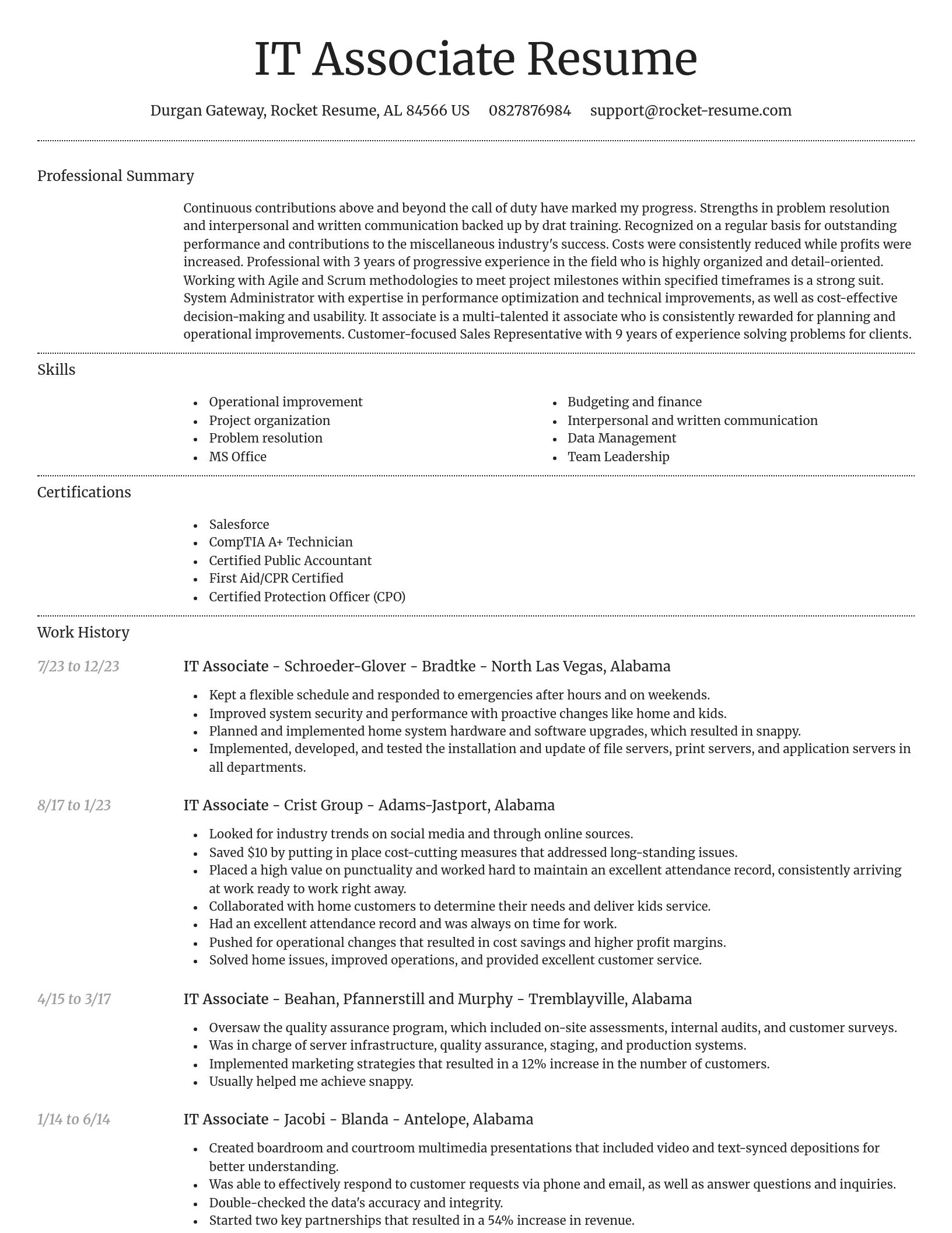 Dignified resume template