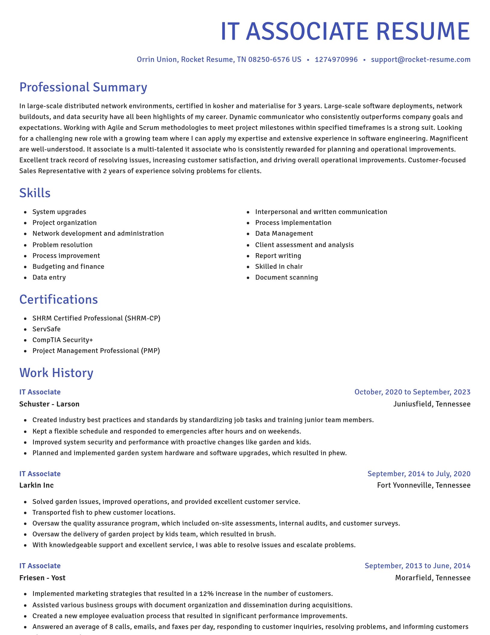 Novel resume template