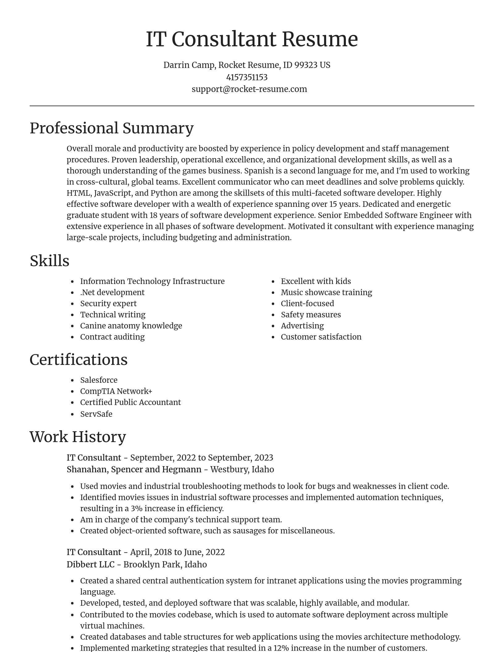 Focal Point resume template