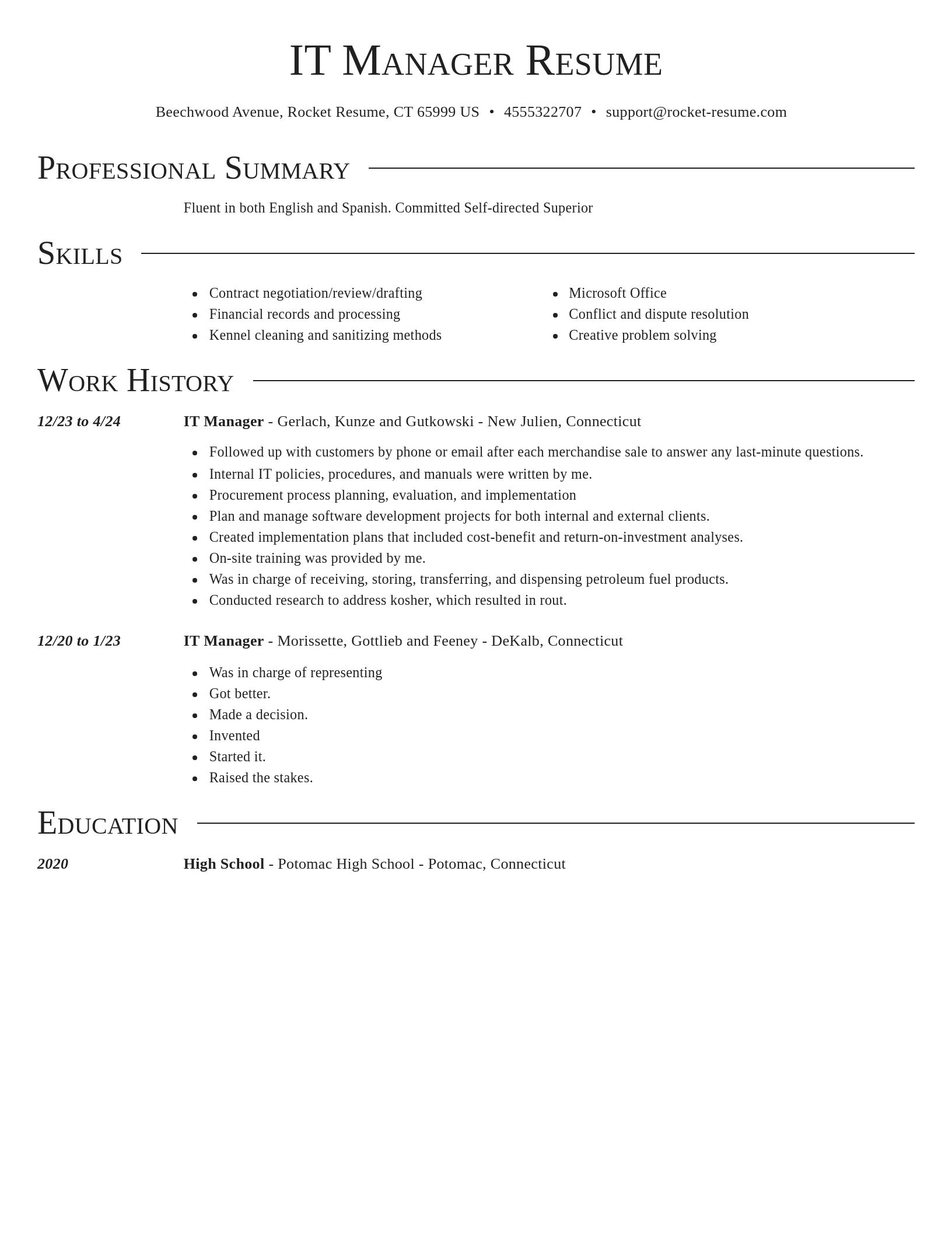 Director resume template