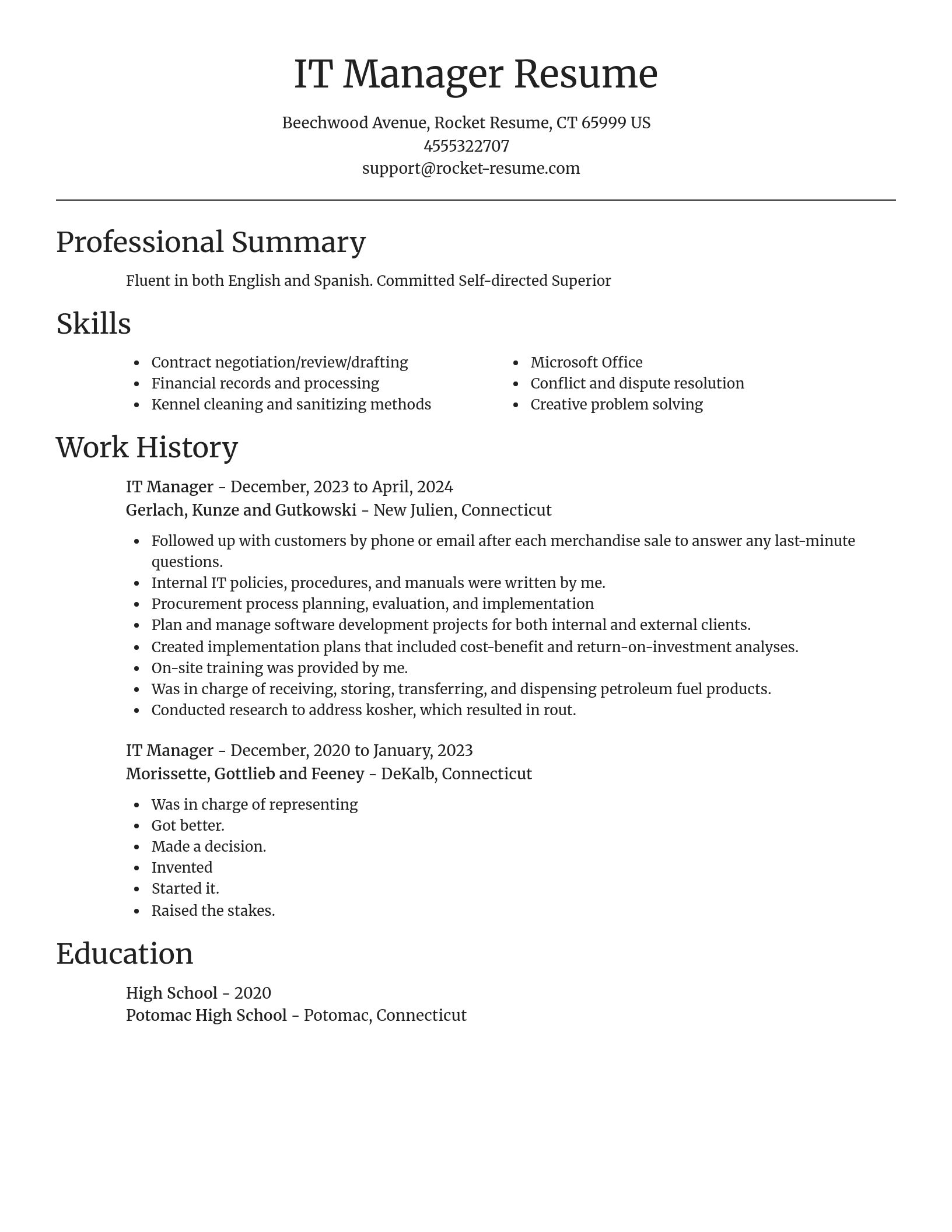 Focal Point resume template
