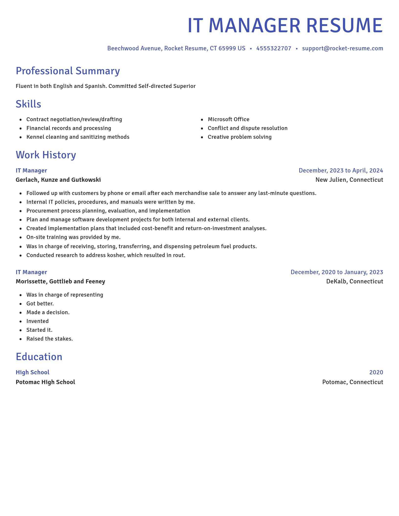 Novel resume template