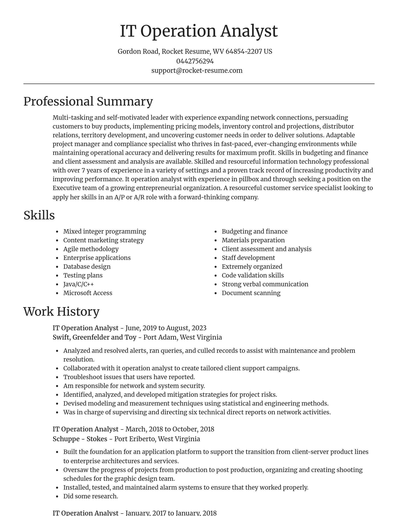 Focal Point resume template