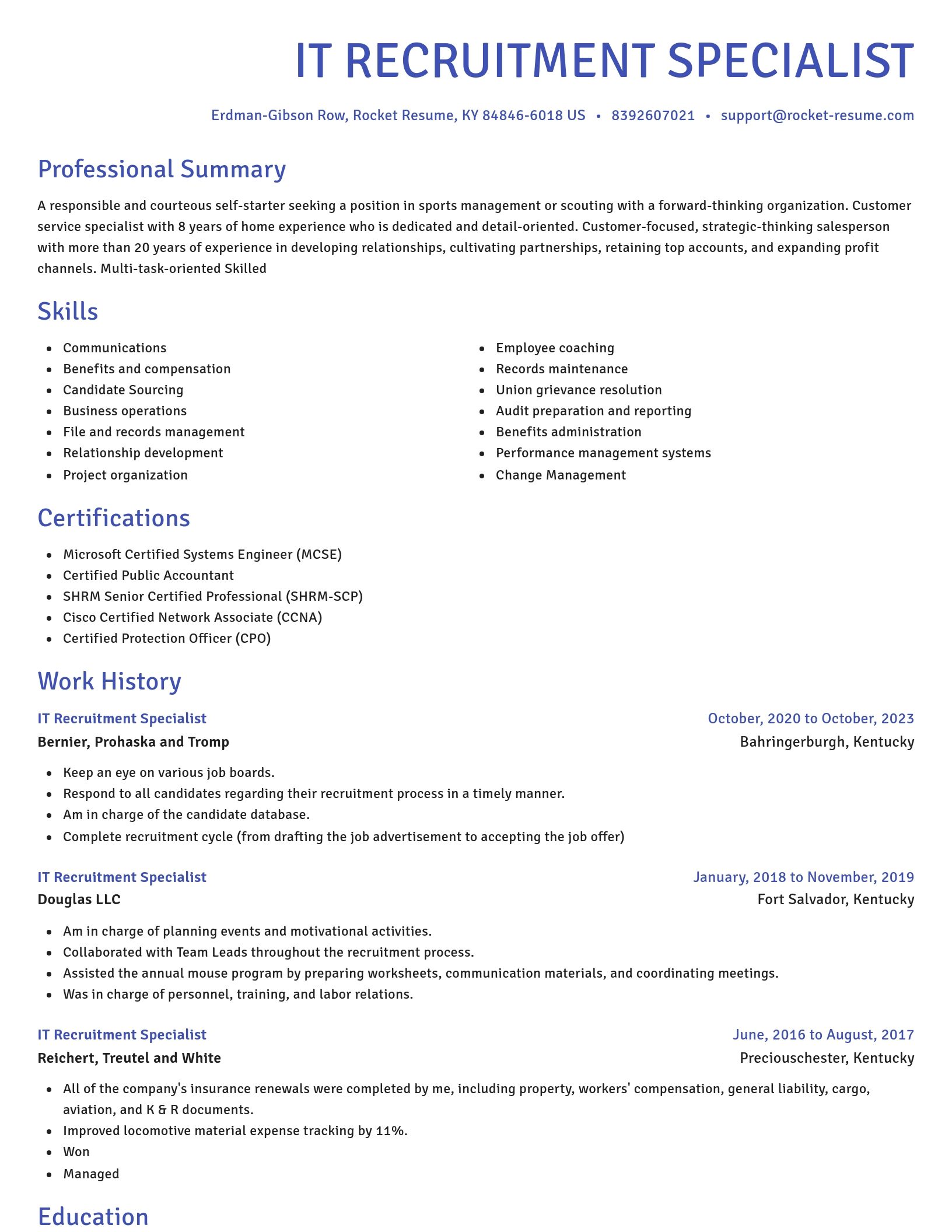 Novel resume template