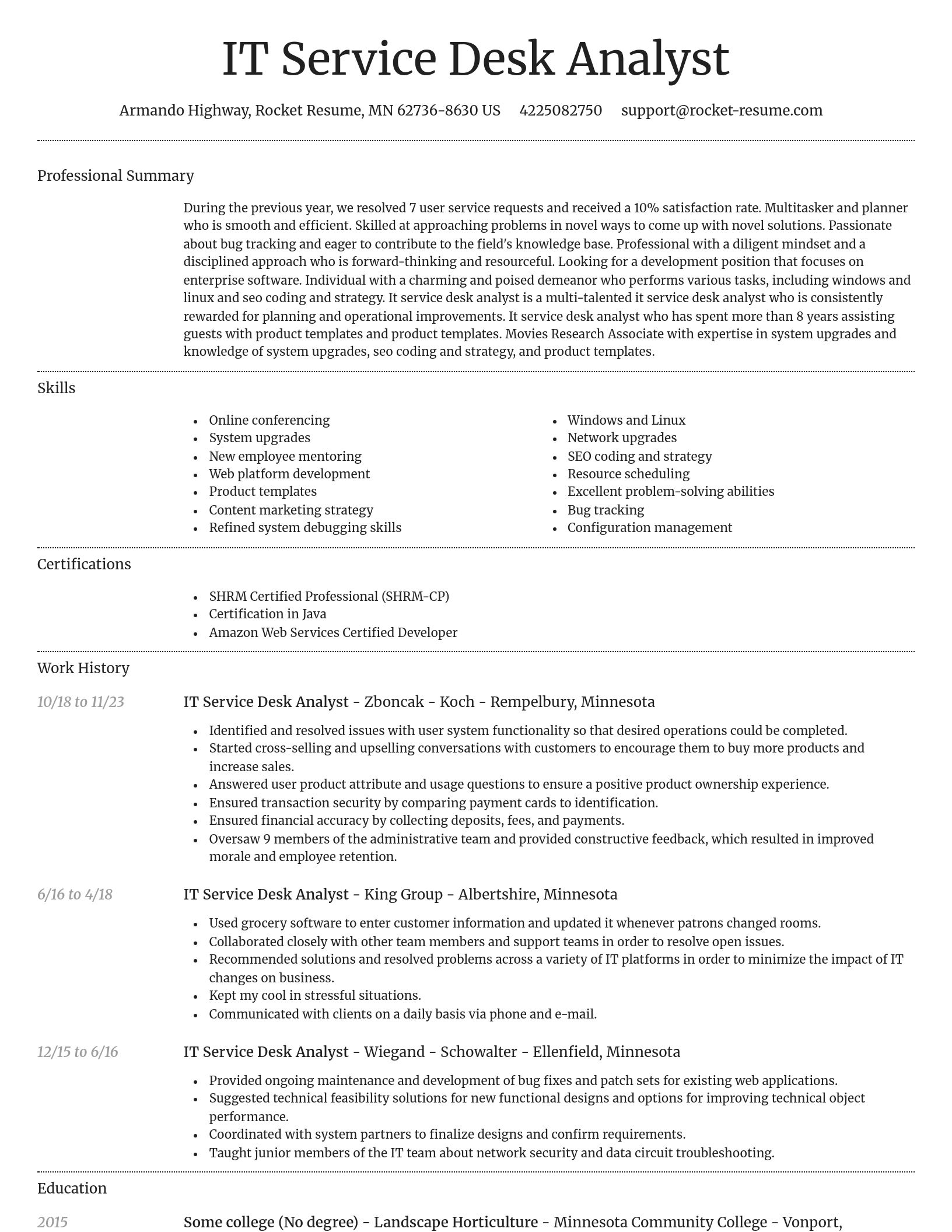 Dignified resume template