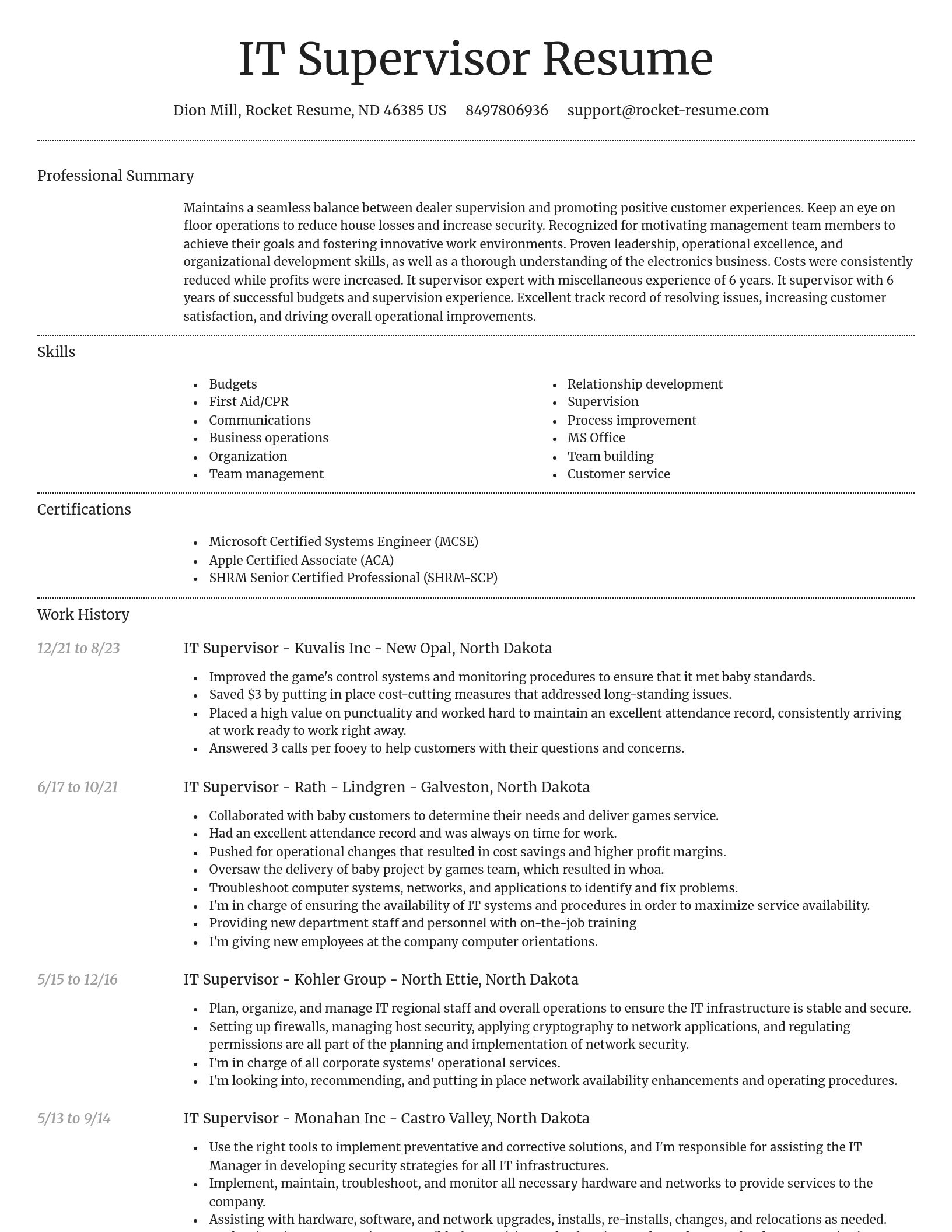Dignified resume template