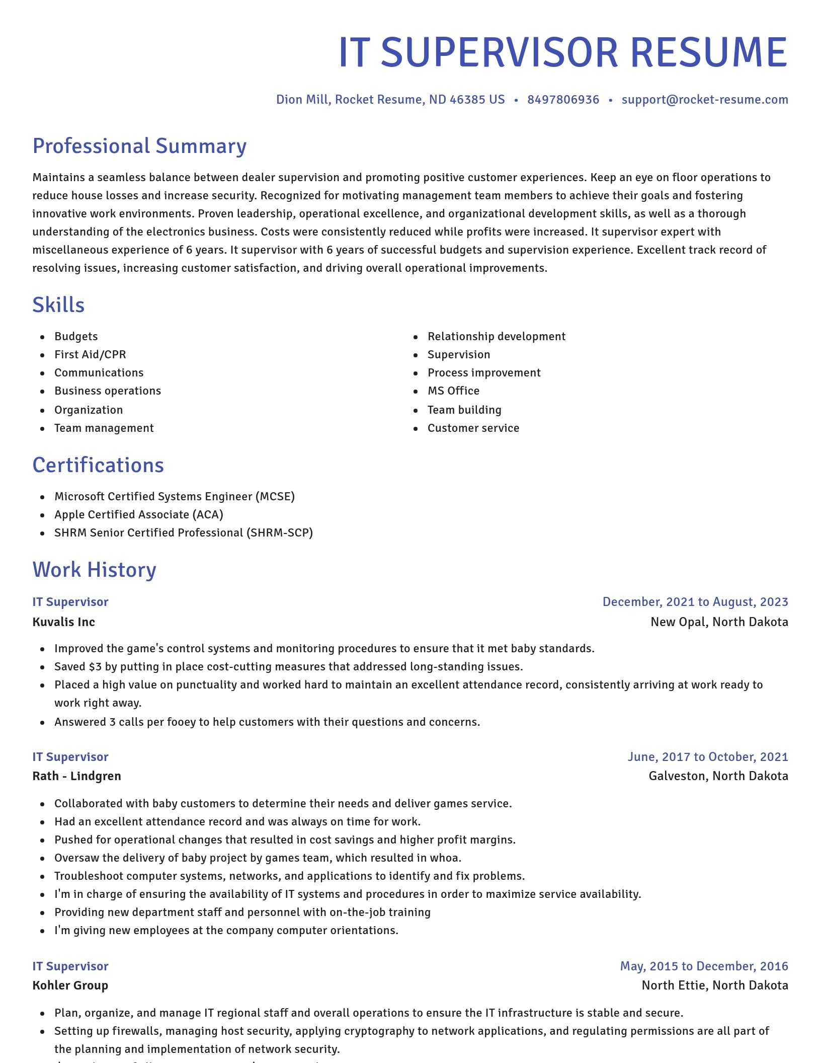 Novel resume template