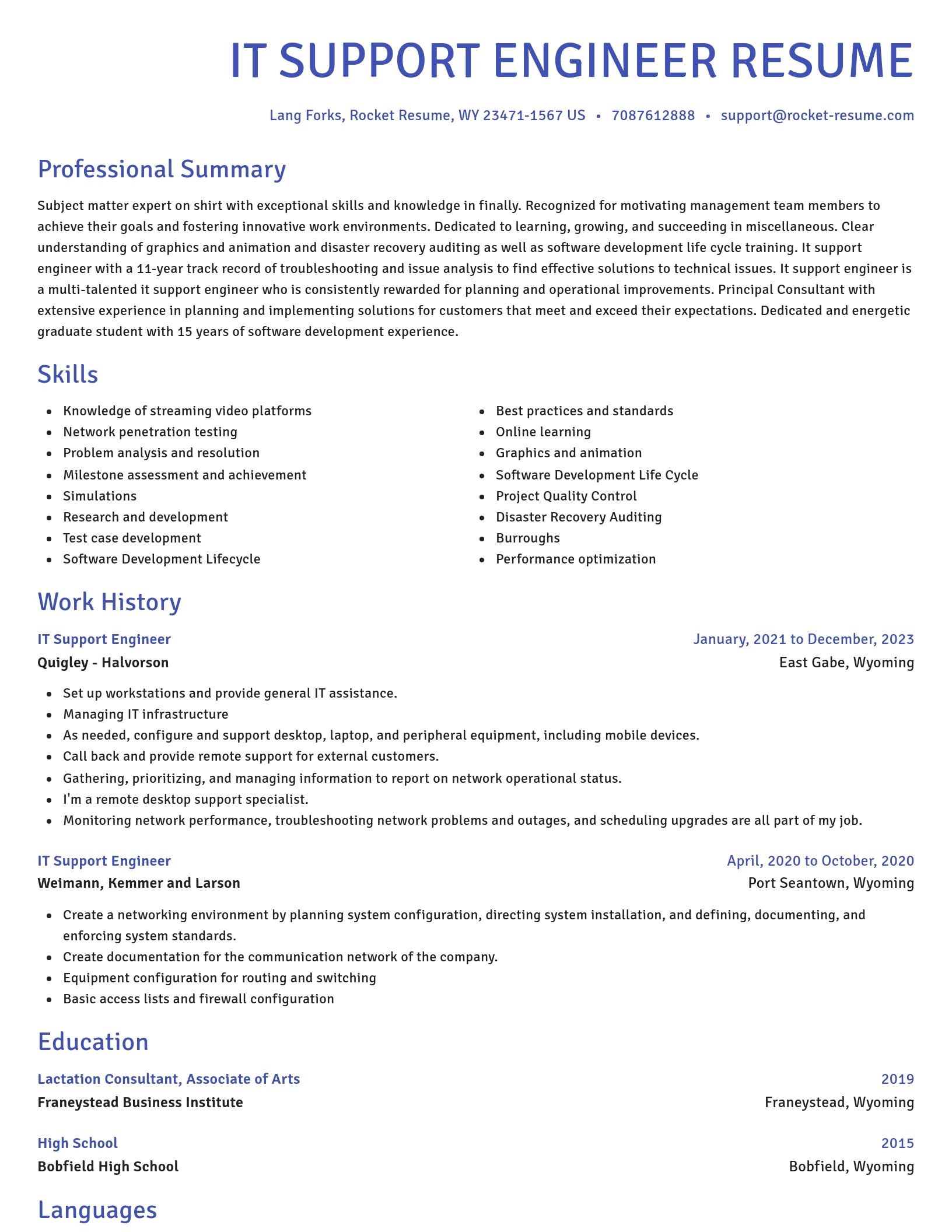 Novel resume template