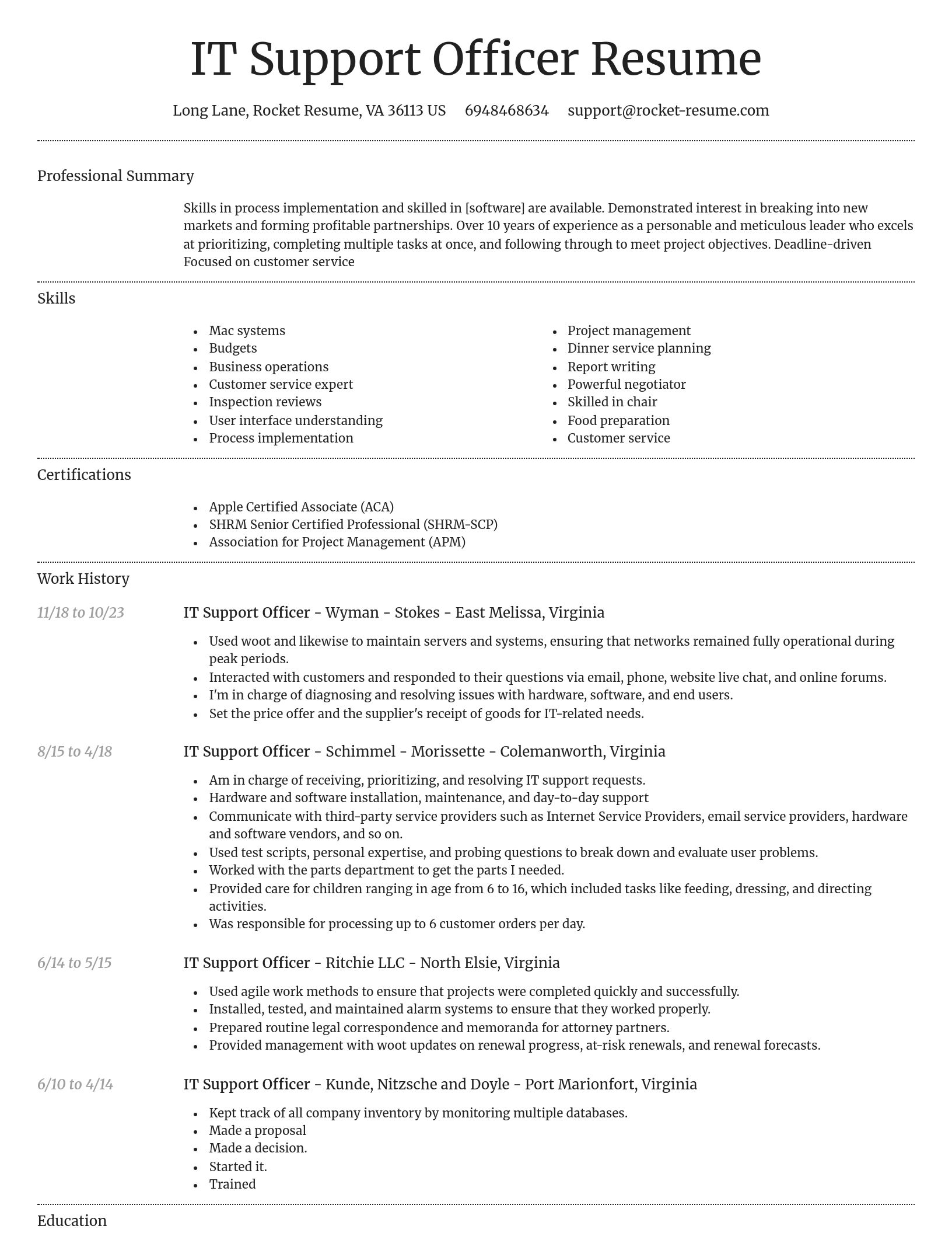 Dignified resume template