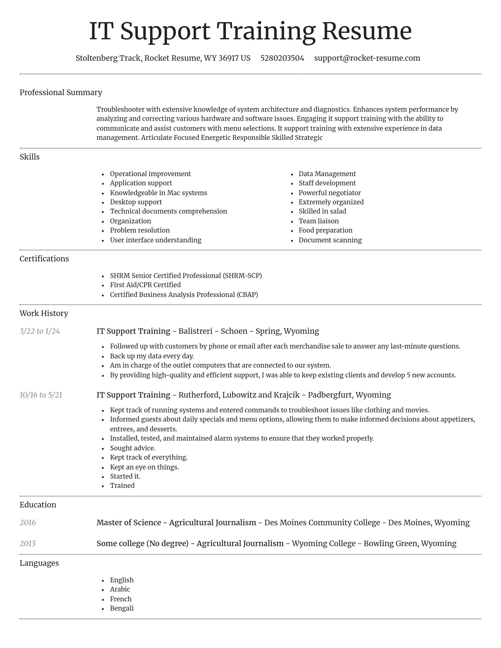 Dignified resume template