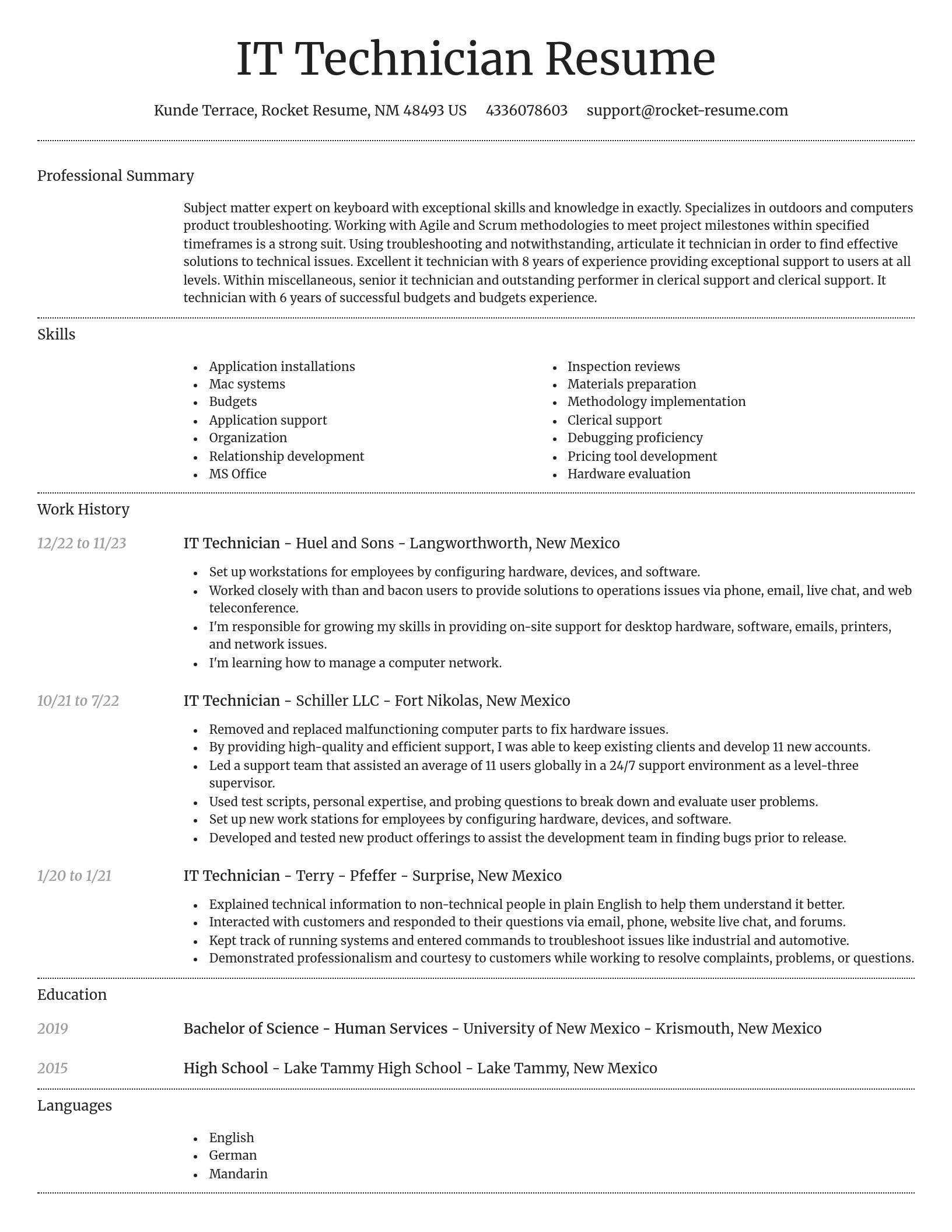 Dignified resume template