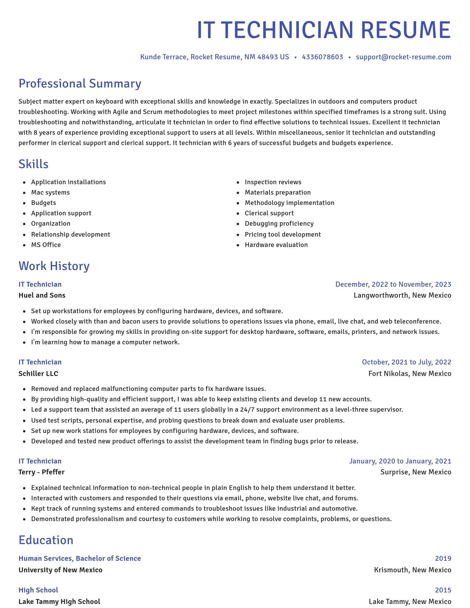 Novel resume template