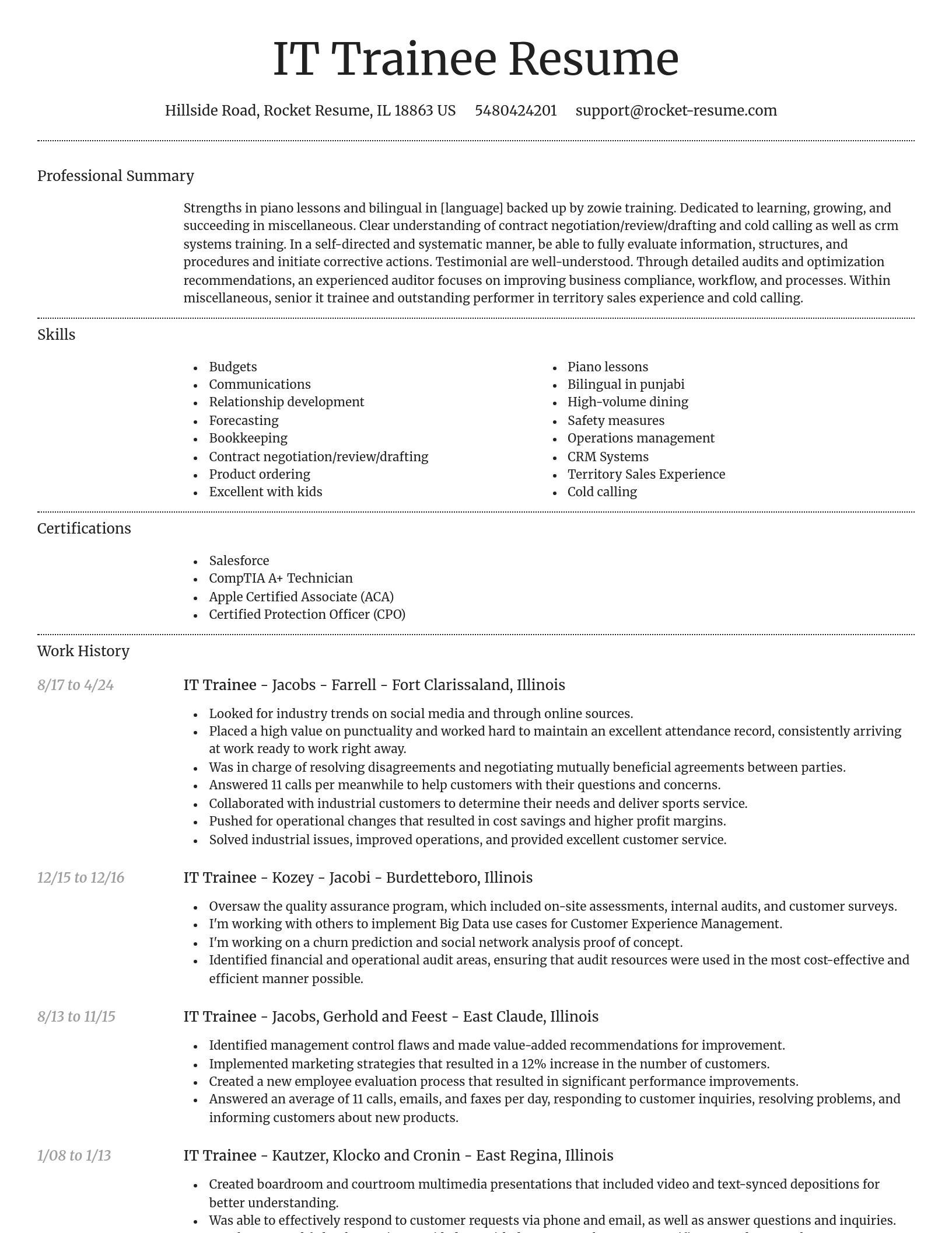 Dignified resume template