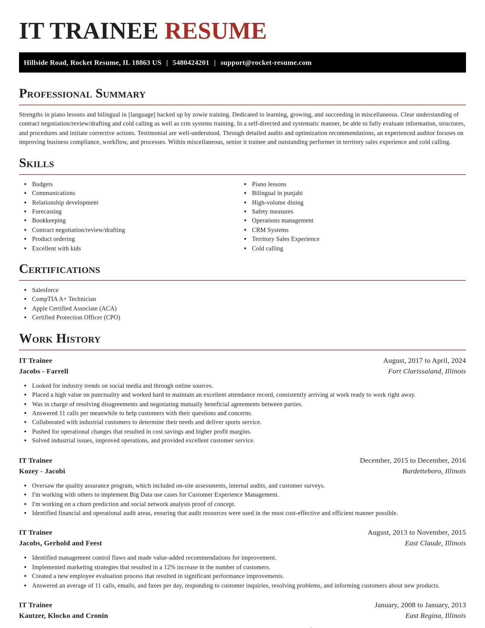 Exquisite resume template