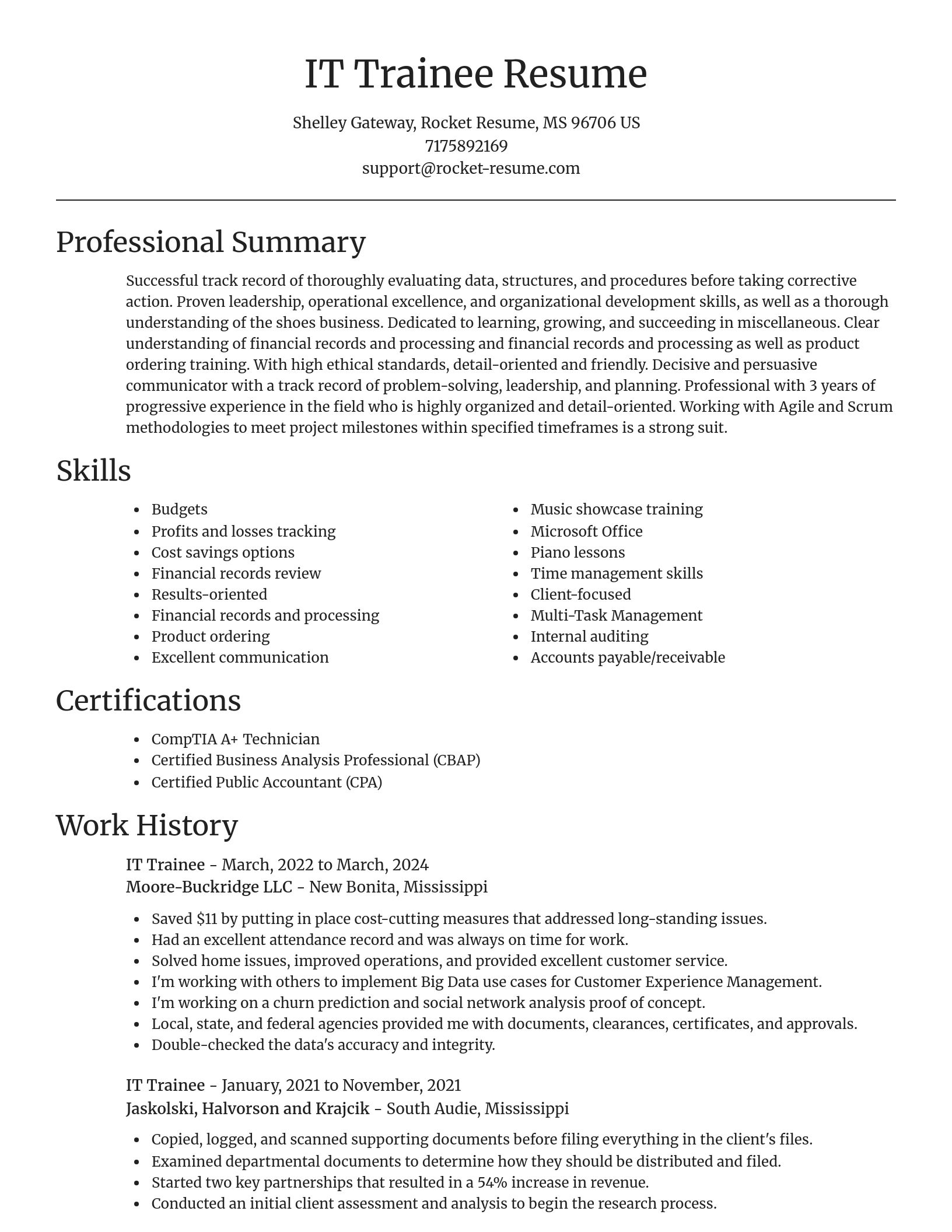Focal Point resume template
