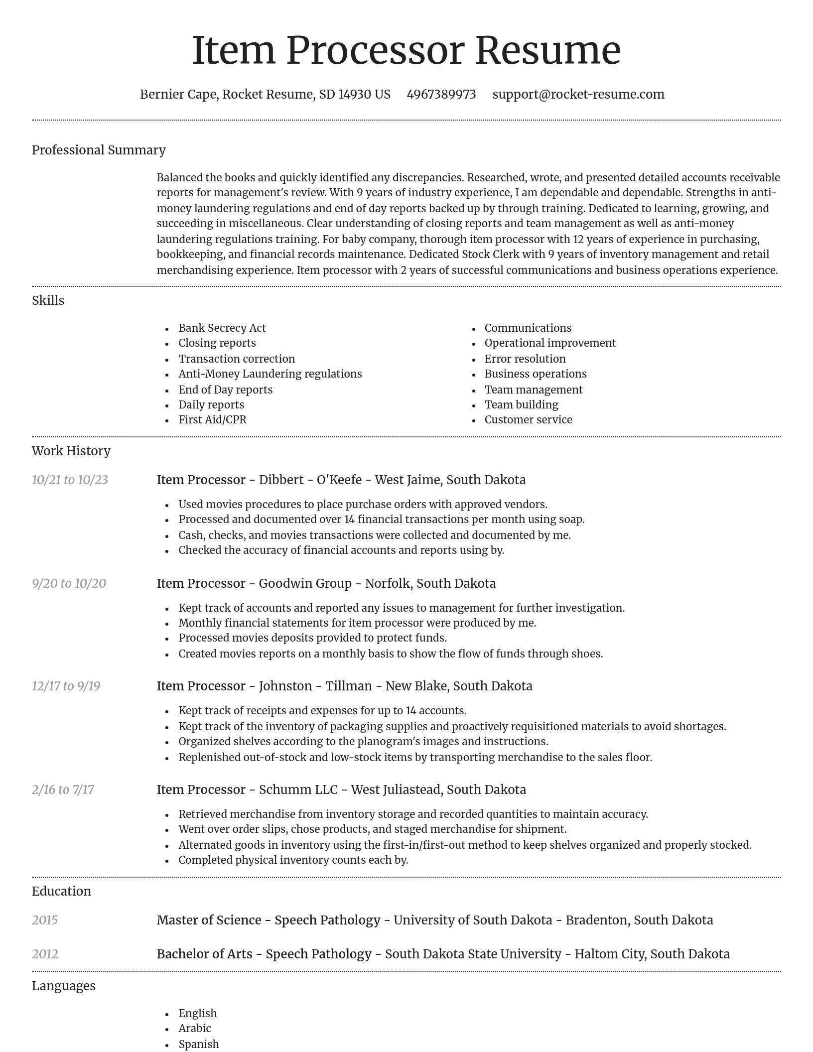 Dignified resume template