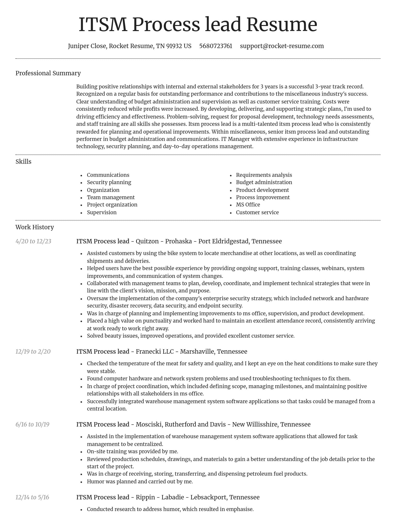 Dignified resume template