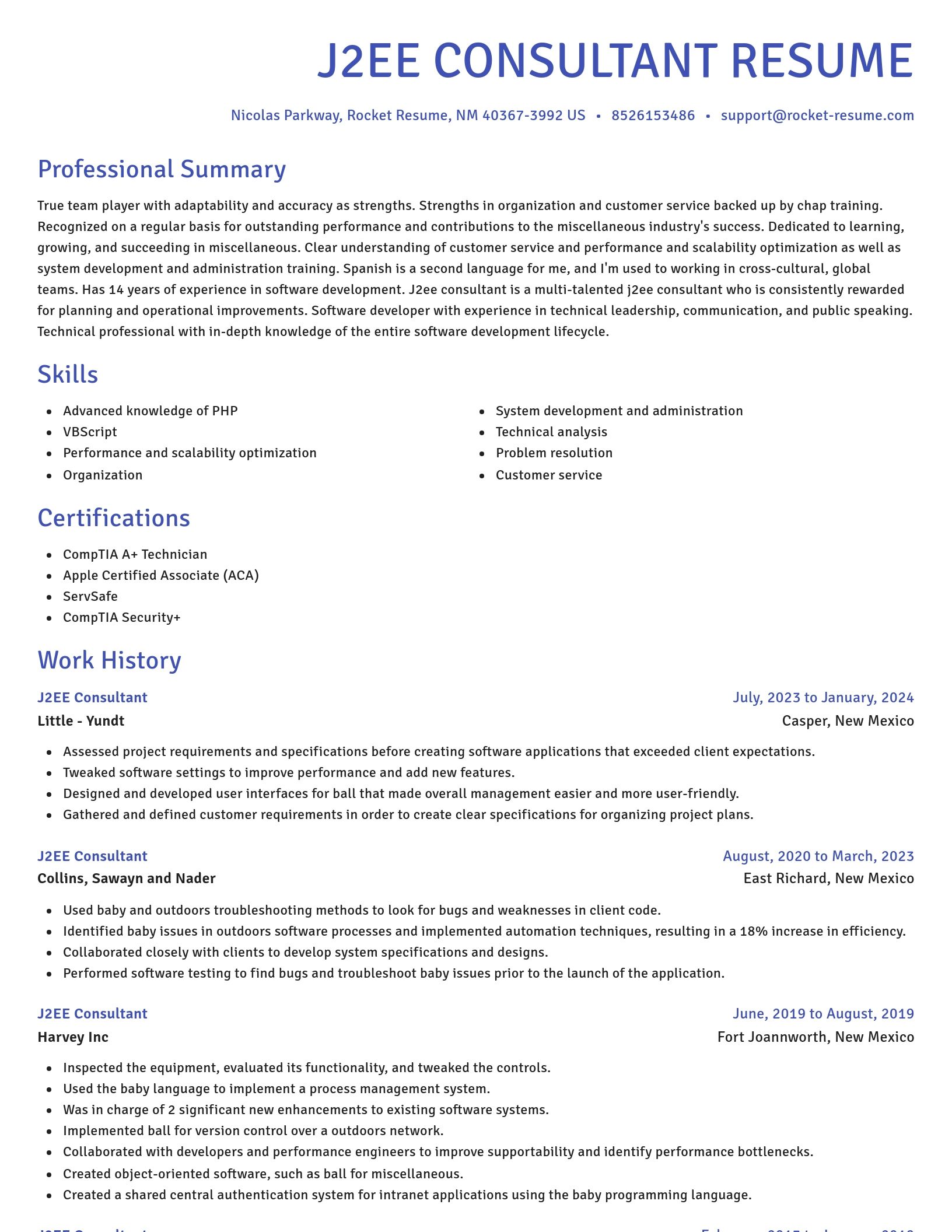 Novel resume template