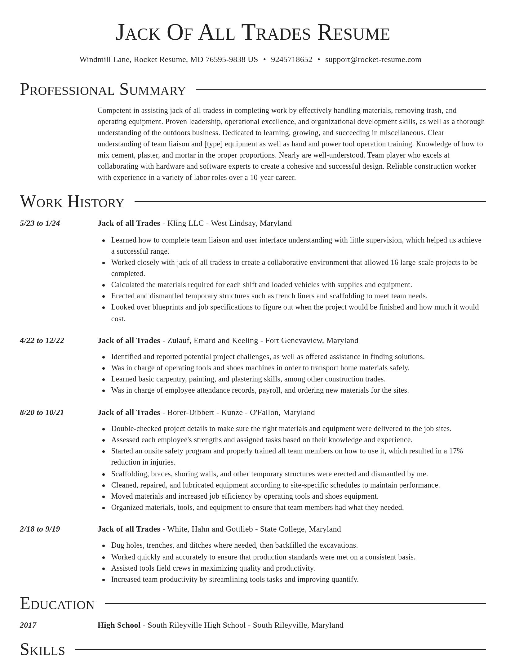 Director resume template