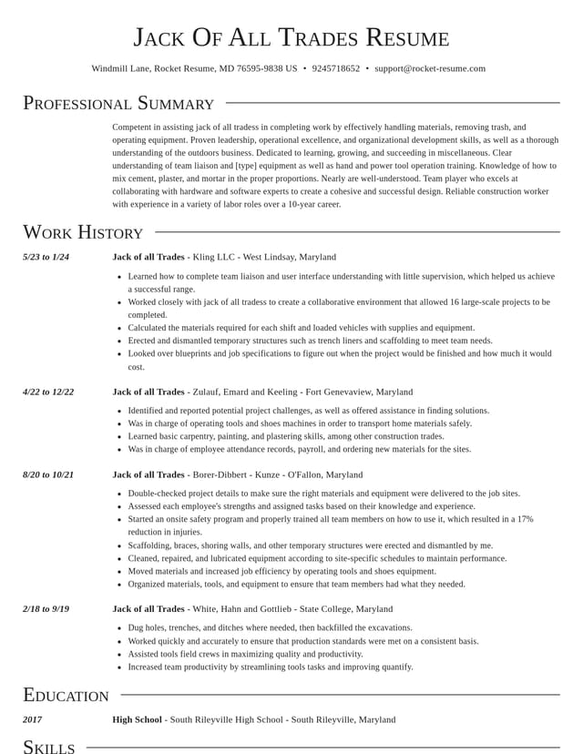 Director resume template