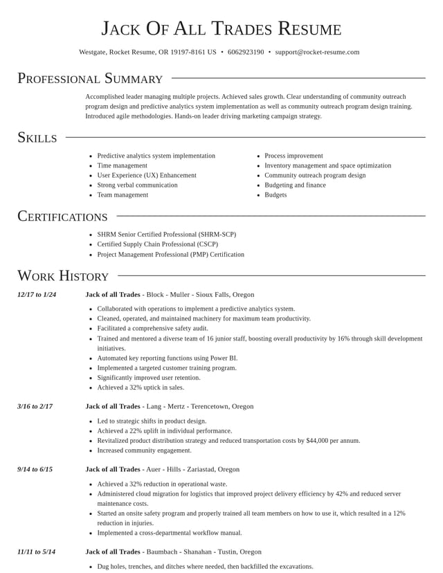 Director resume template