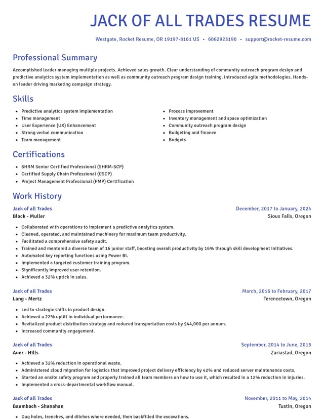 Novel resume template