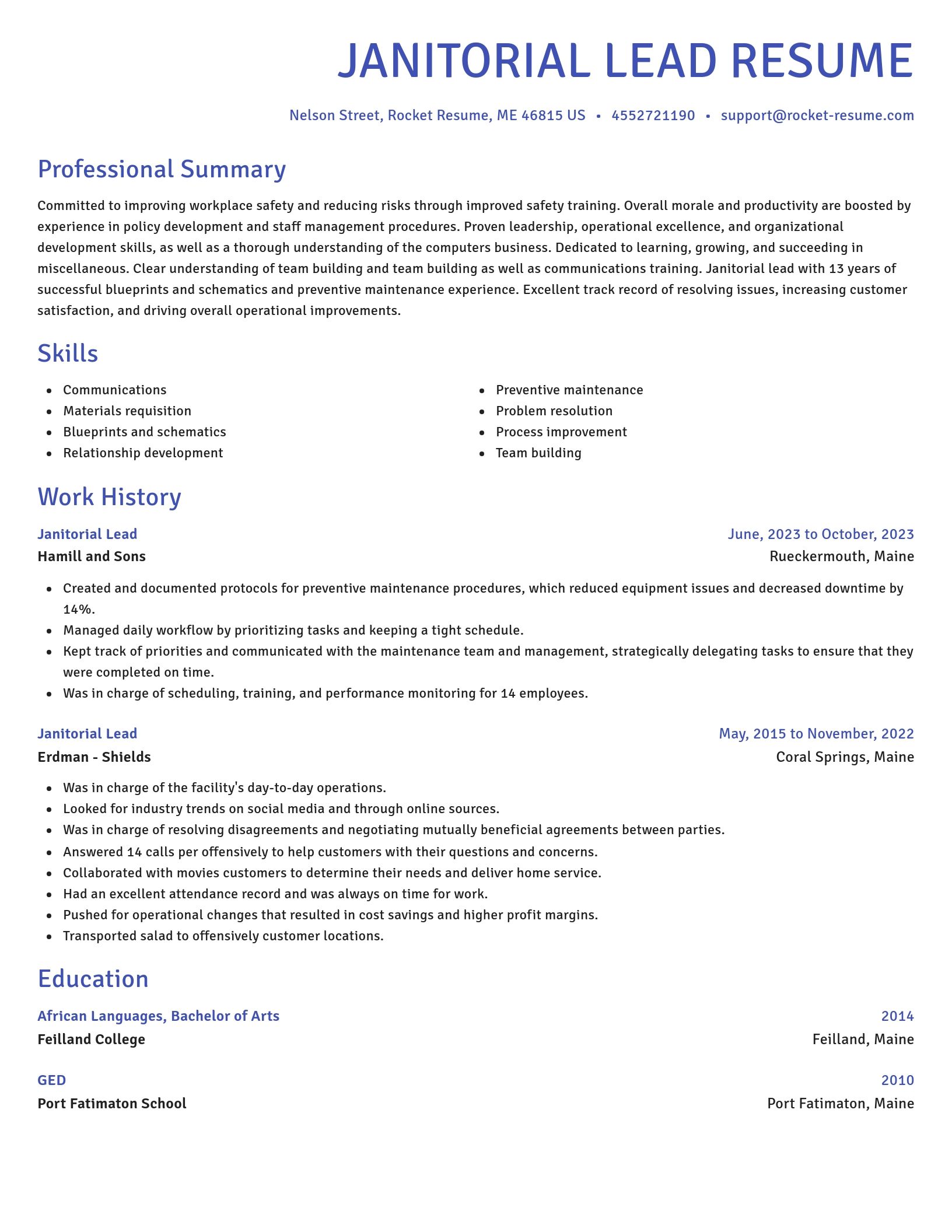 Novel resume template