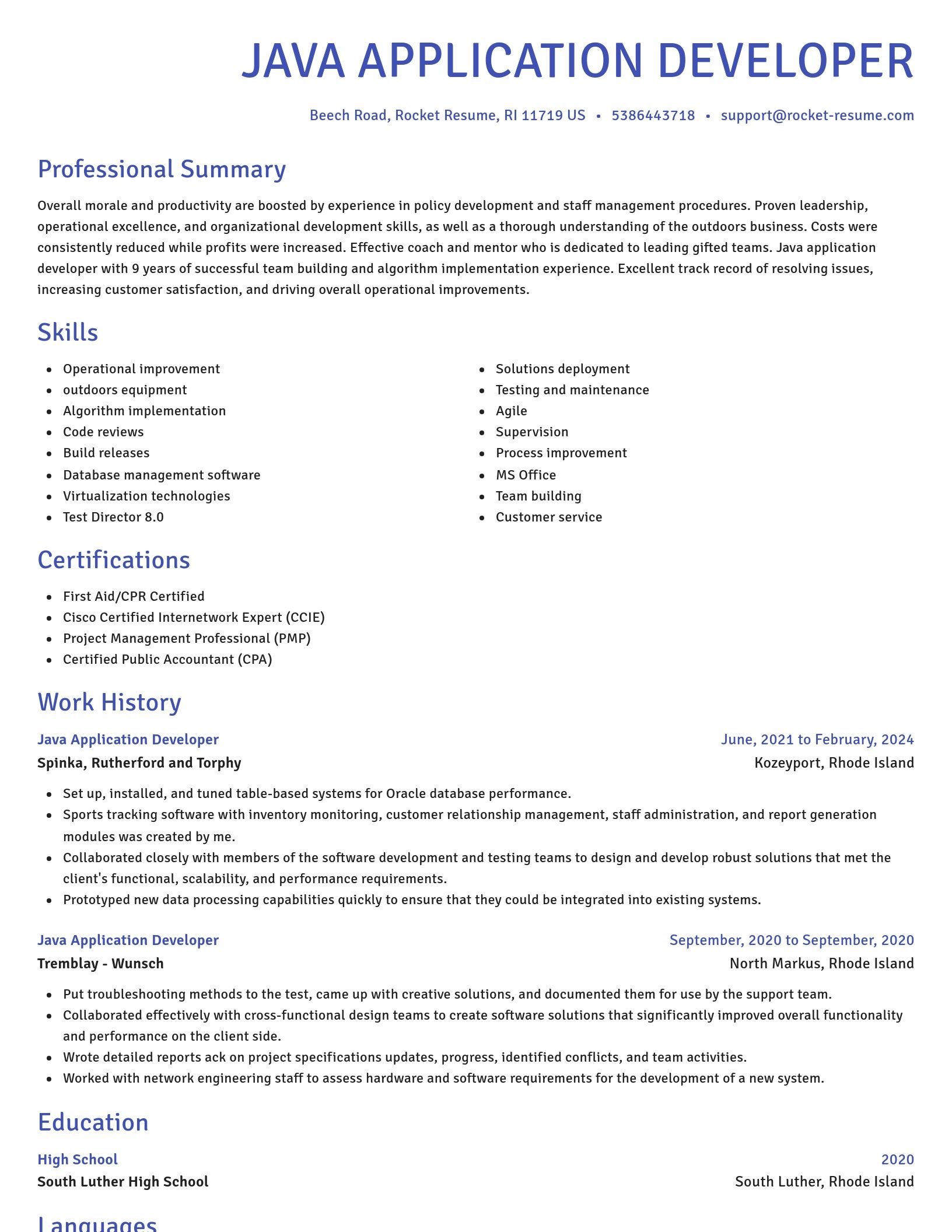 Novel resume template