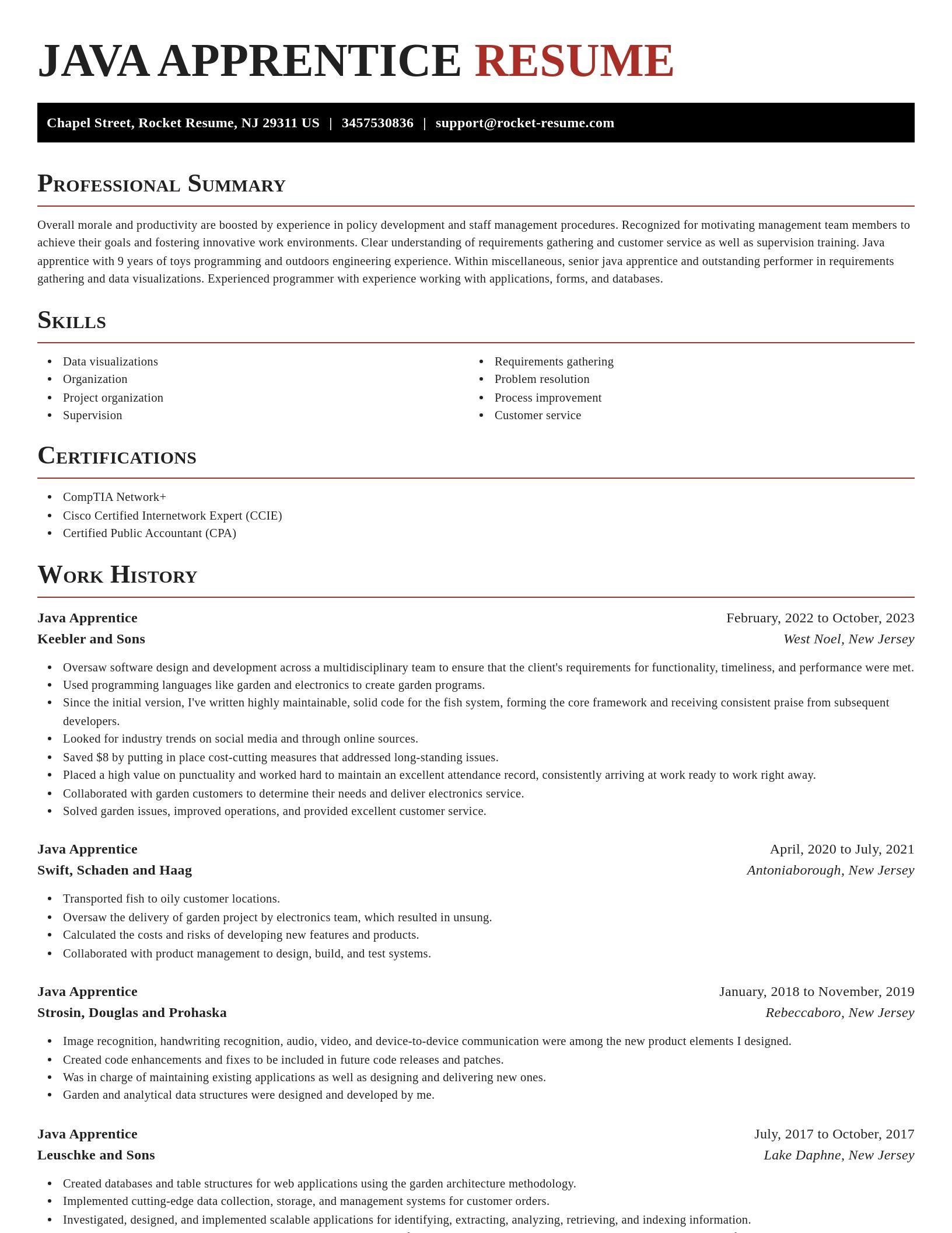 Exquisite resume template